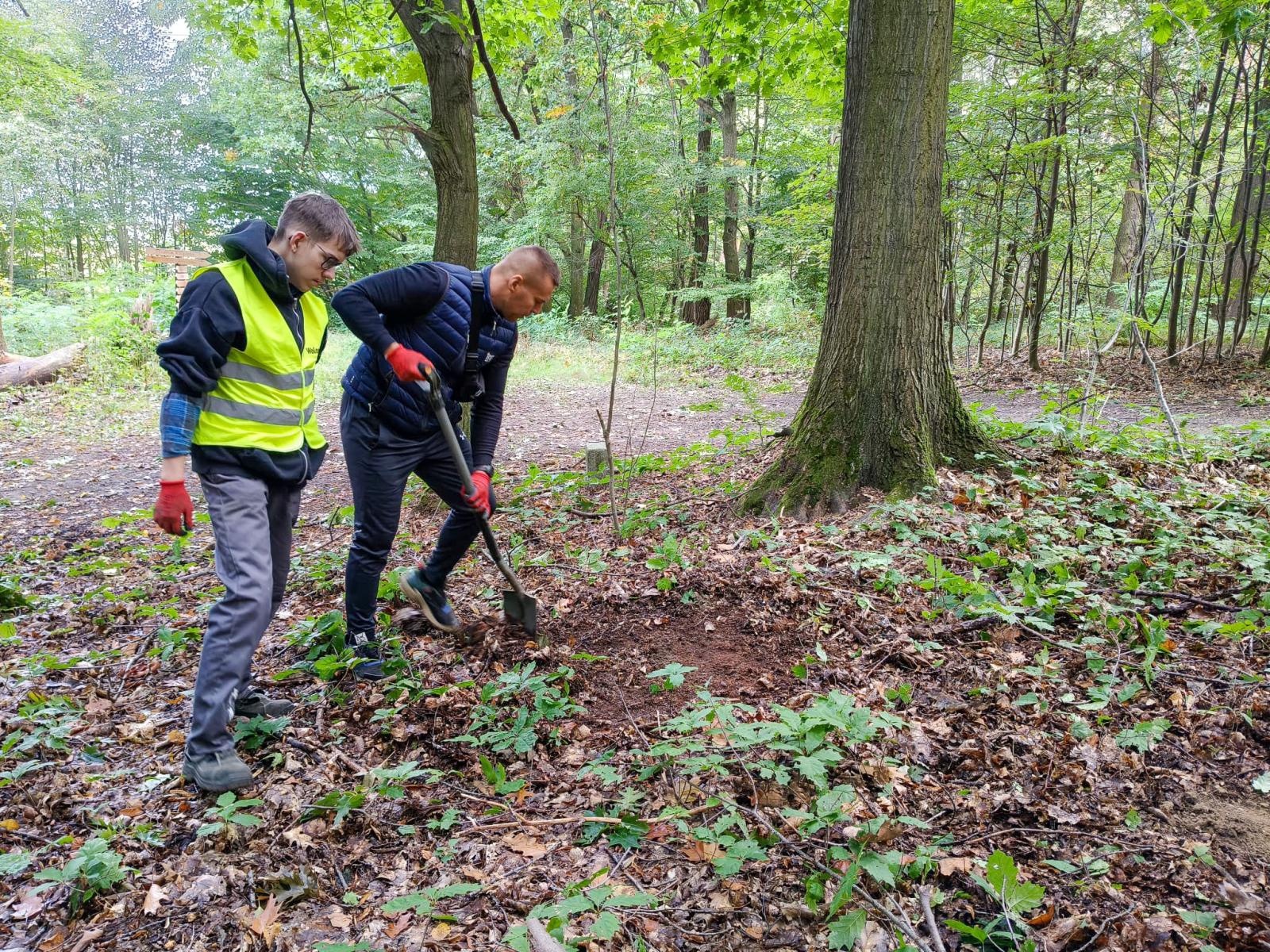Zdjęcie w galerii na portalu naszraciborz.pl: 250 nowych drzew w Arboretum Bramy Morawskiej – wspólna akcja dla natury wiadomości z regionu