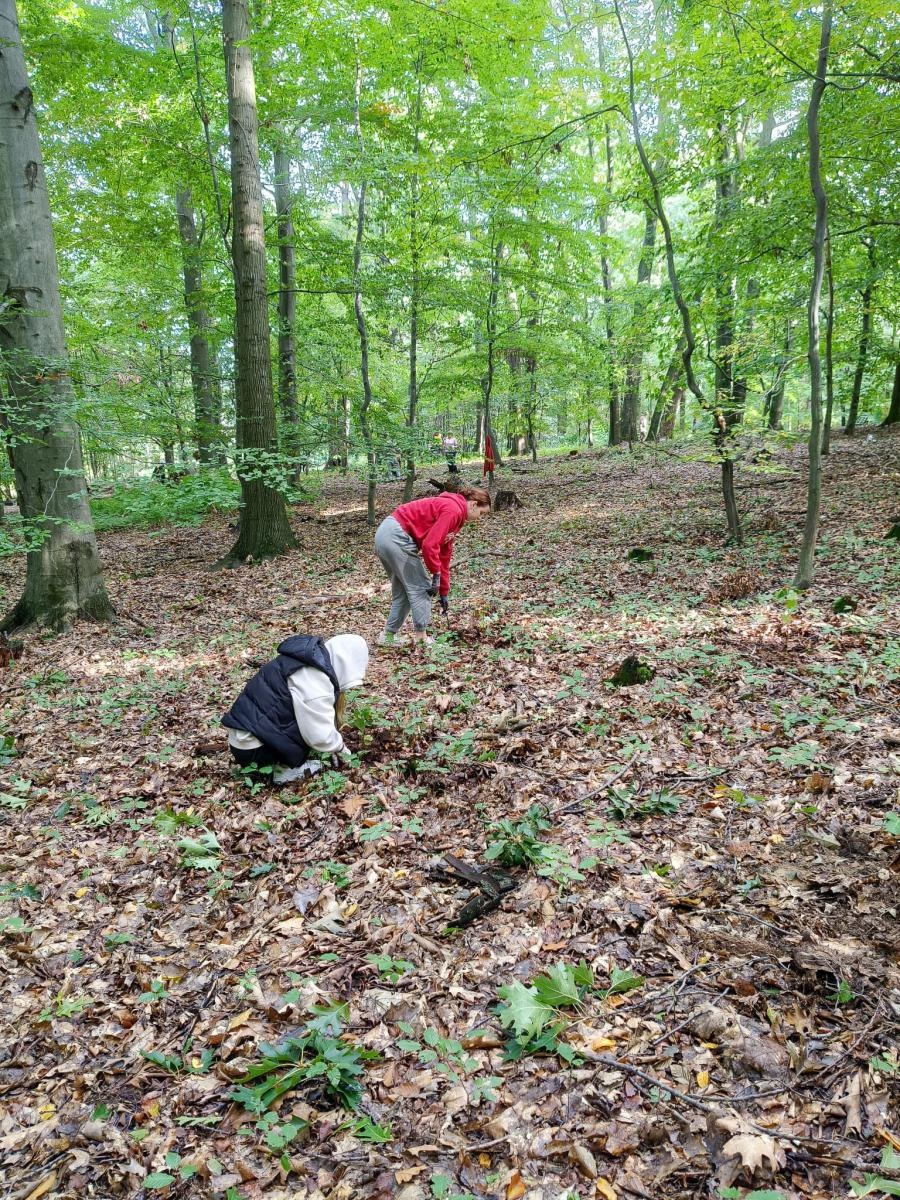 Zdjęcie w galerii na portalu naszraciborz.pl: 250 nowych drzew w Arboretum Bramy Morawskiej – wspólna akcja dla natury wiadomości z regionu