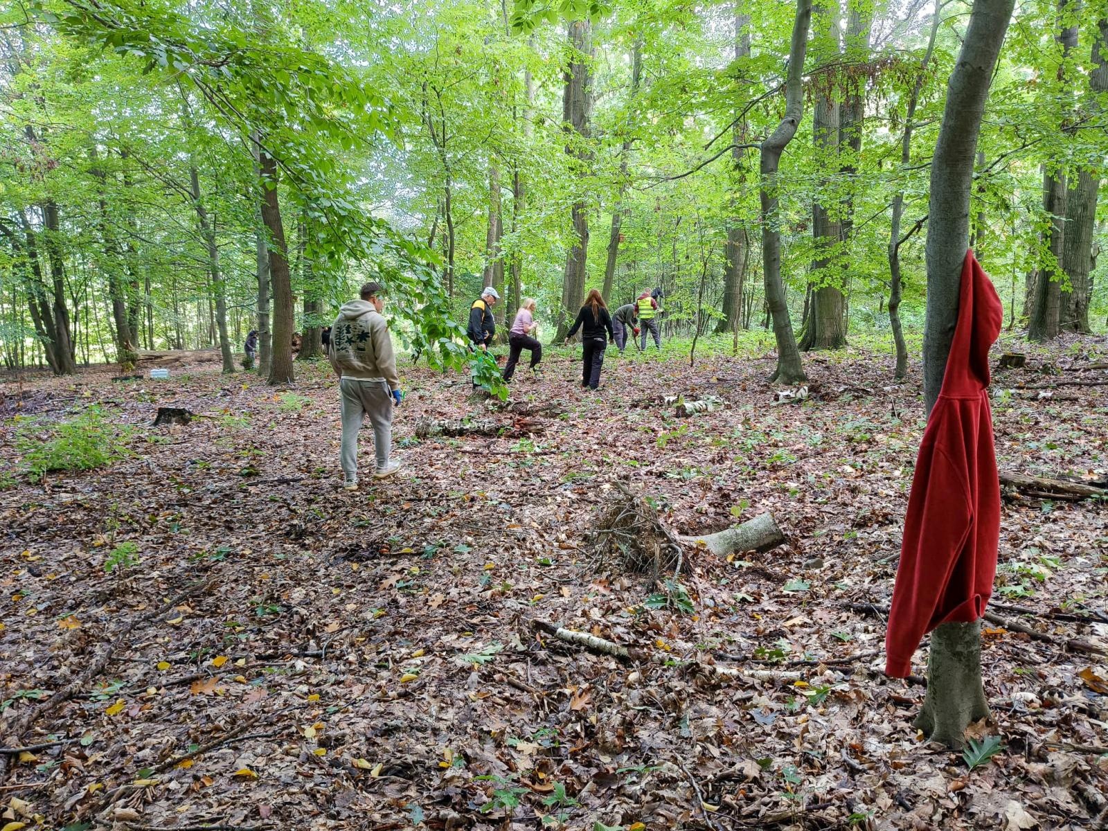 Zdjęcie w galerii na portalu naszraciborz.pl: 250 nowych drzew w Arboretum Bramy Morawskiej – wspólna akcja dla natury wiadomości z regionu