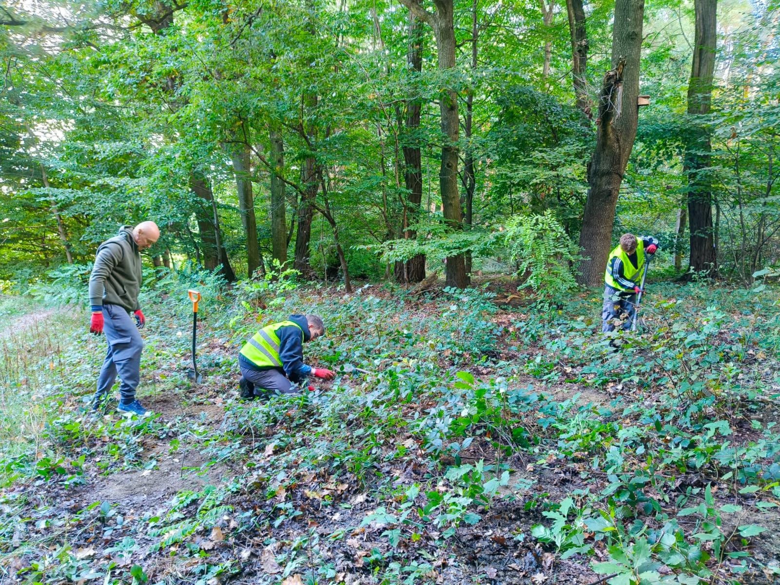 Zdjęcie w galerii na portalu naszraciborz.pl: 250 nowych drzew w Arboretum Bramy Morawskiej – wspólna akcja dla natury wiadomości z regionu