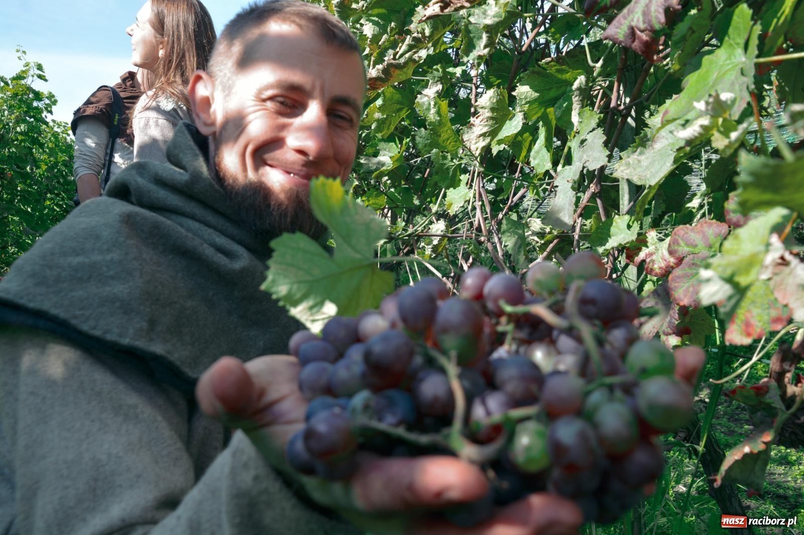 Zdjęcie w galerii na portalu naszraciborz.pl: Niebiosa okazały się łaskawe. Słoneczne winobranie w Trolikówce w Krowiarkach [FOTO i WIDEO] wiadomości z regionu