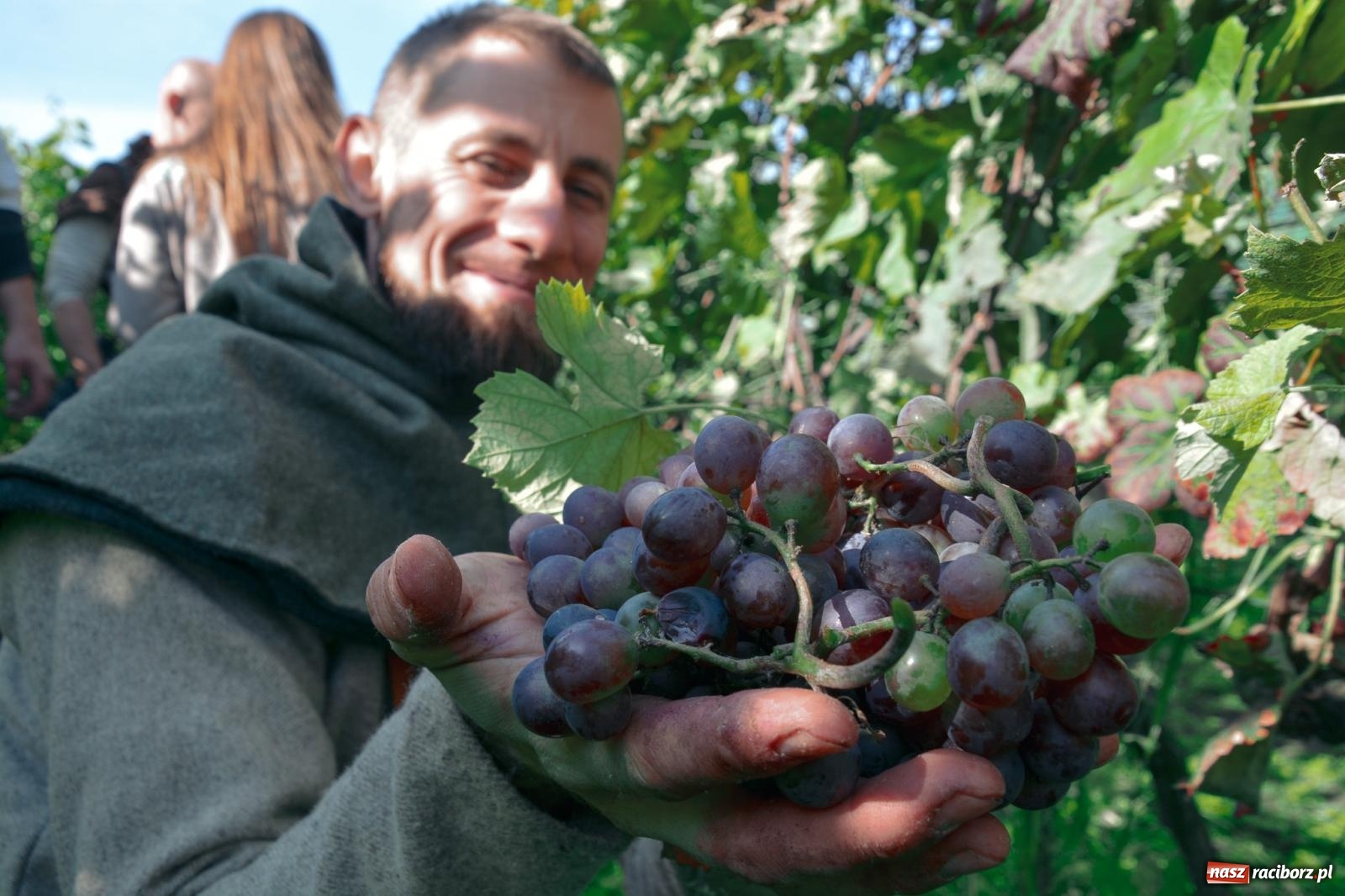 Zdjęcie w galerii na portalu naszraciborz.pl: Niebiosa okazały się łaskawe. Słoneczne winobranie w Trolikówce w Krowiarkach [FOTO i WIDEO] wiadomości z regionu