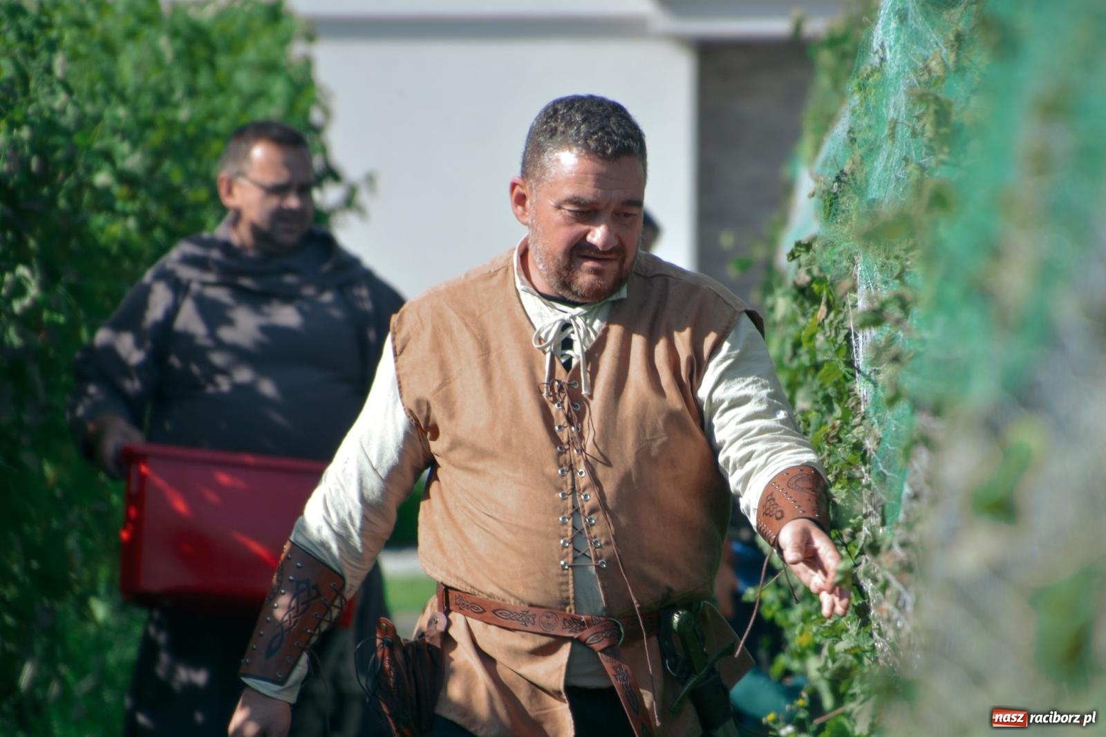 Zdjęcie w galerii na portalu naszraciborz.pl: Niebiosa okazały się łaskawe. Słoneczne winobranie w Trolikówce w Krowiarkach [FOTO i WIDEO] wiadomości z regionu