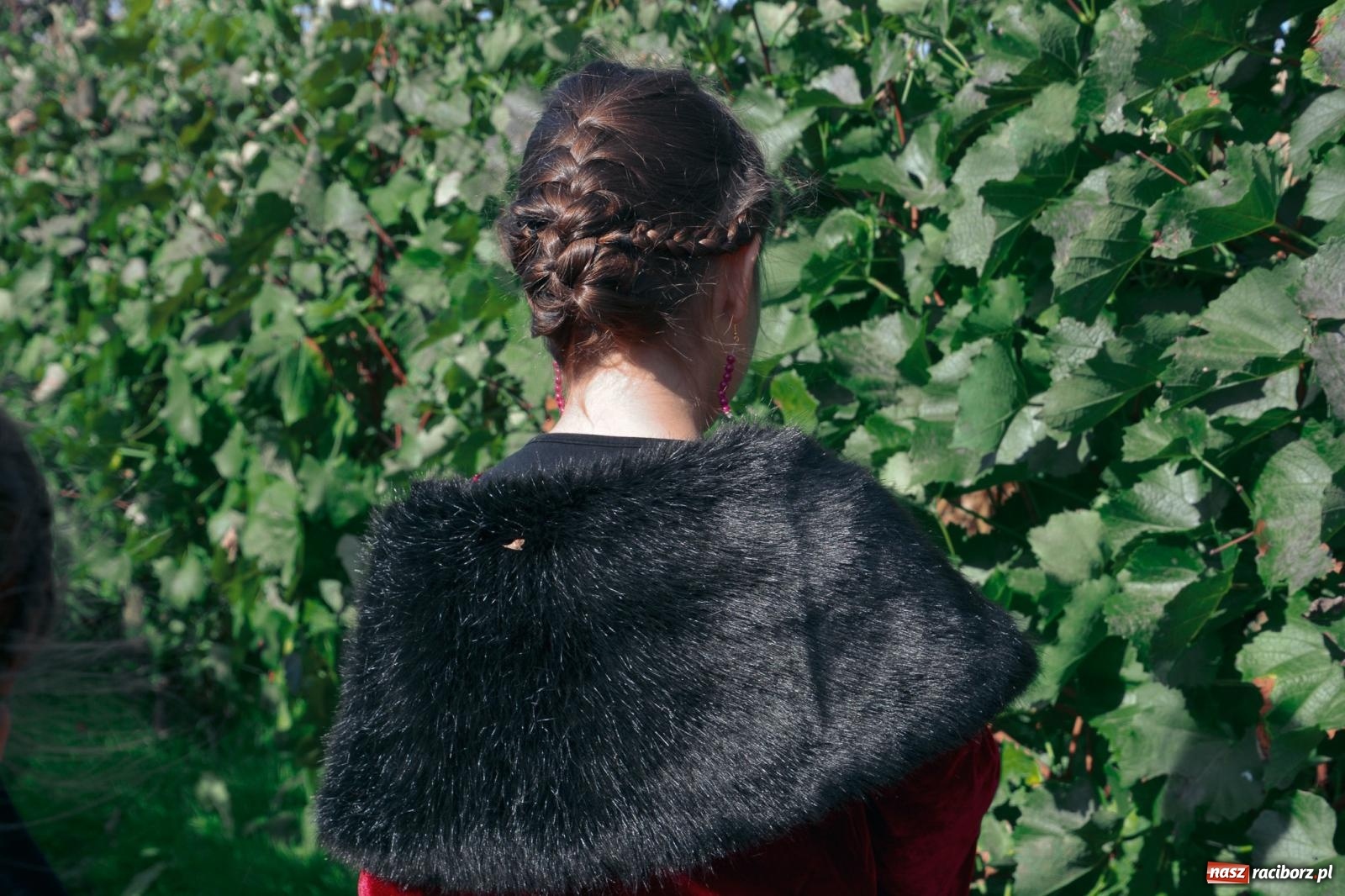 Zdjęcie w galerii na portalu naszraciborz.pl: Niebiosa okazały się łaskawe. Słoneczne winobranie w Trolikówce w Krowiarkach [FOTO i WIDEO] wiadomości z regionu