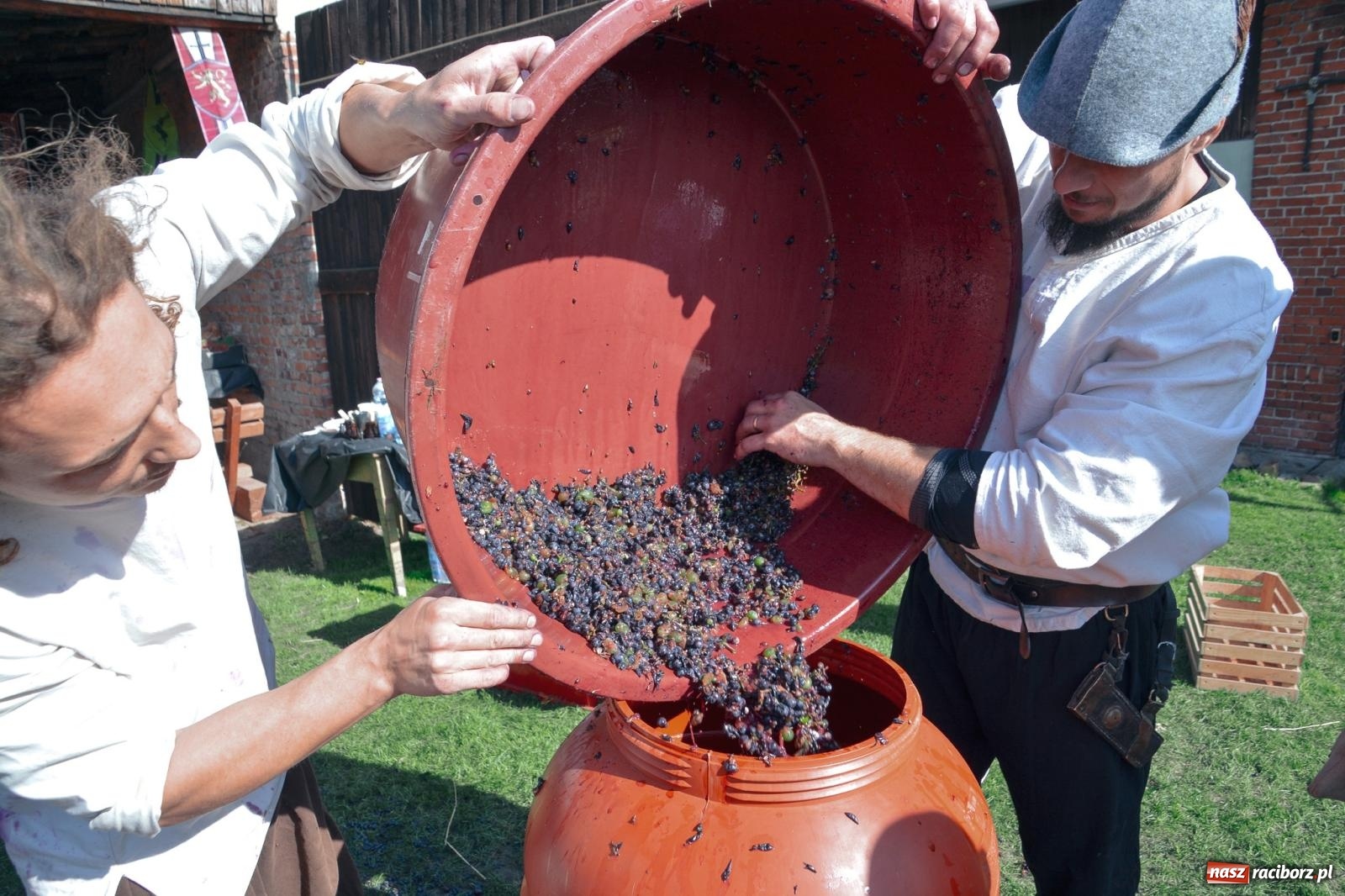 Zdjęcie w galerii na portalu naszraciborz.pl: Niebiosa okazały się łaskawe. Słoneczne winobranie w Trolikówce w Krowiarkach [FOTO i WIDEO] wiadomości z regionu