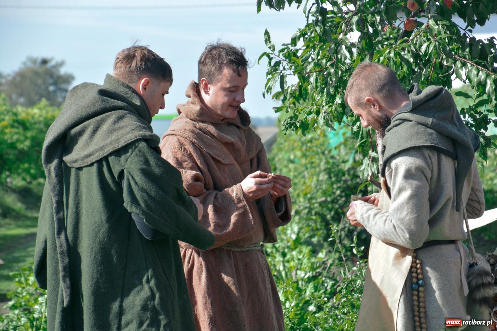 Zdjęcie w galerii na portalu naszraciborz.pl: Niebiosa okazały się łaskawe. Słoneczne winobranie w Trolikówce w Krowiarkach [FOTO i WIDEO] wiadomości z regionu