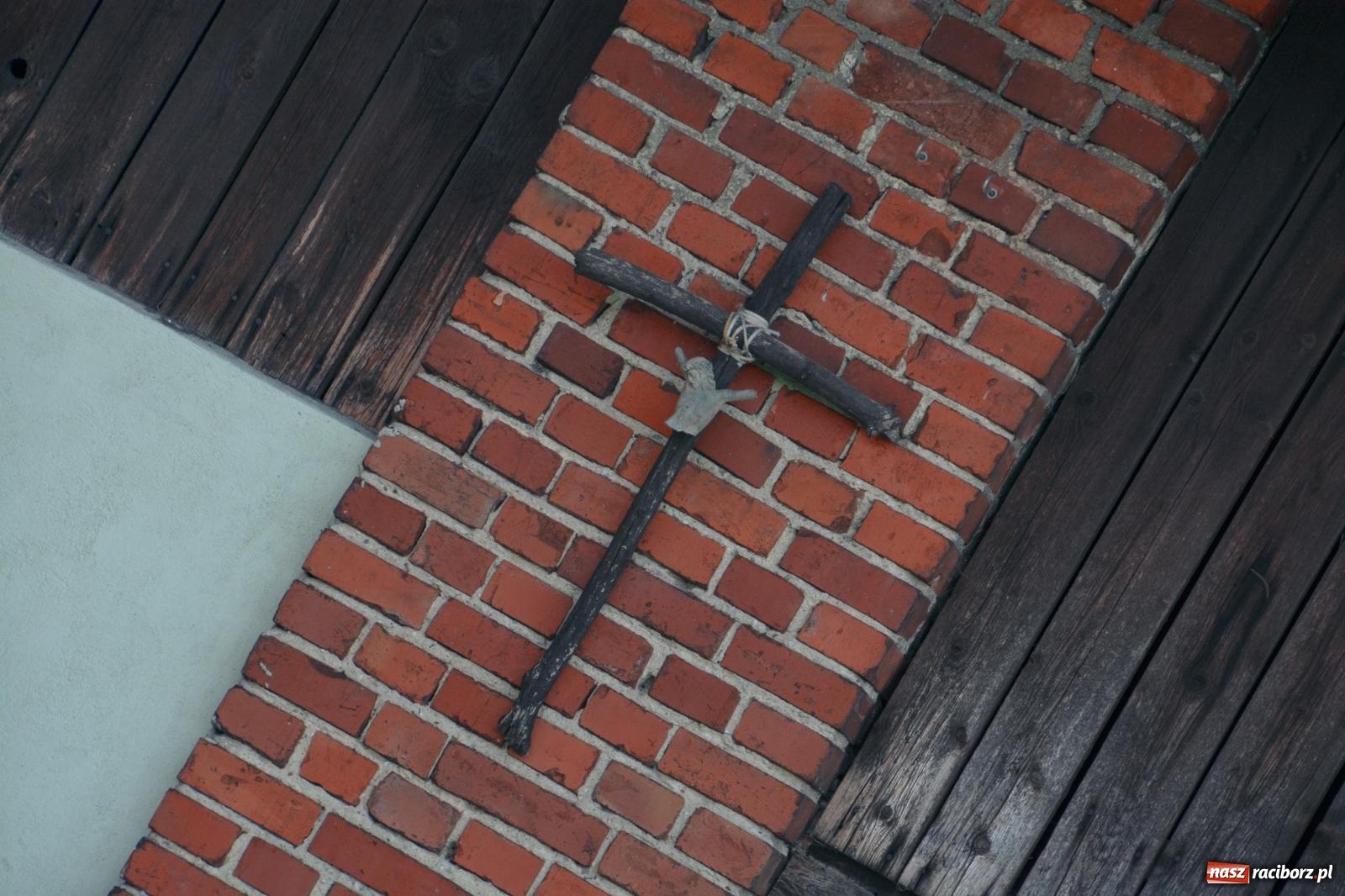 Zdjęcie w galerii na portalu naszraciborz.pl: Niebiosa okazały się łaskawe. Słoneczne winobranie w Trolikówce w Krowiarkach [FOTO i WIDEO] wiadomości z regionu