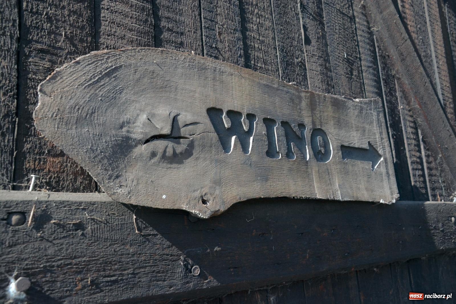 Zdjęcie w galerii na portalu naszraciborz.pl: Niebiosa okazały się łaskawe. Słoneczne winobranie w Trolikówce w Krowiarkach [FOTO i WIDEO] wiadomości z regionu