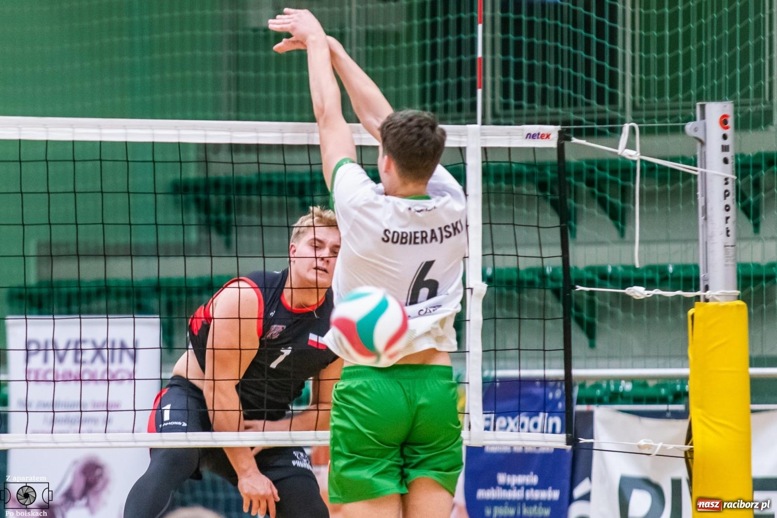 Zdjęcie w galerii na portalu naszraciborz.pl: Siatkówka: Pełna pula na koncie raciborzan [FOTO i WIDEO] wiadomości z regionu