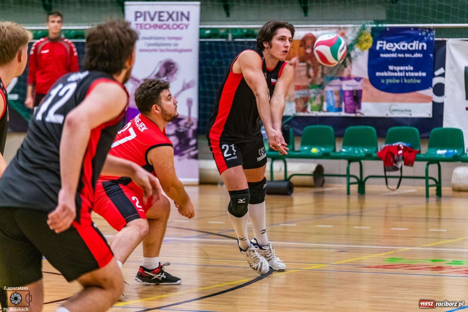 Zdjęcie w galerii na portalu naszraciborz.pl: Siatkówka: Pełna pula na koncie raciborzan [FOTO i WIDEO] wiadomości z regionu