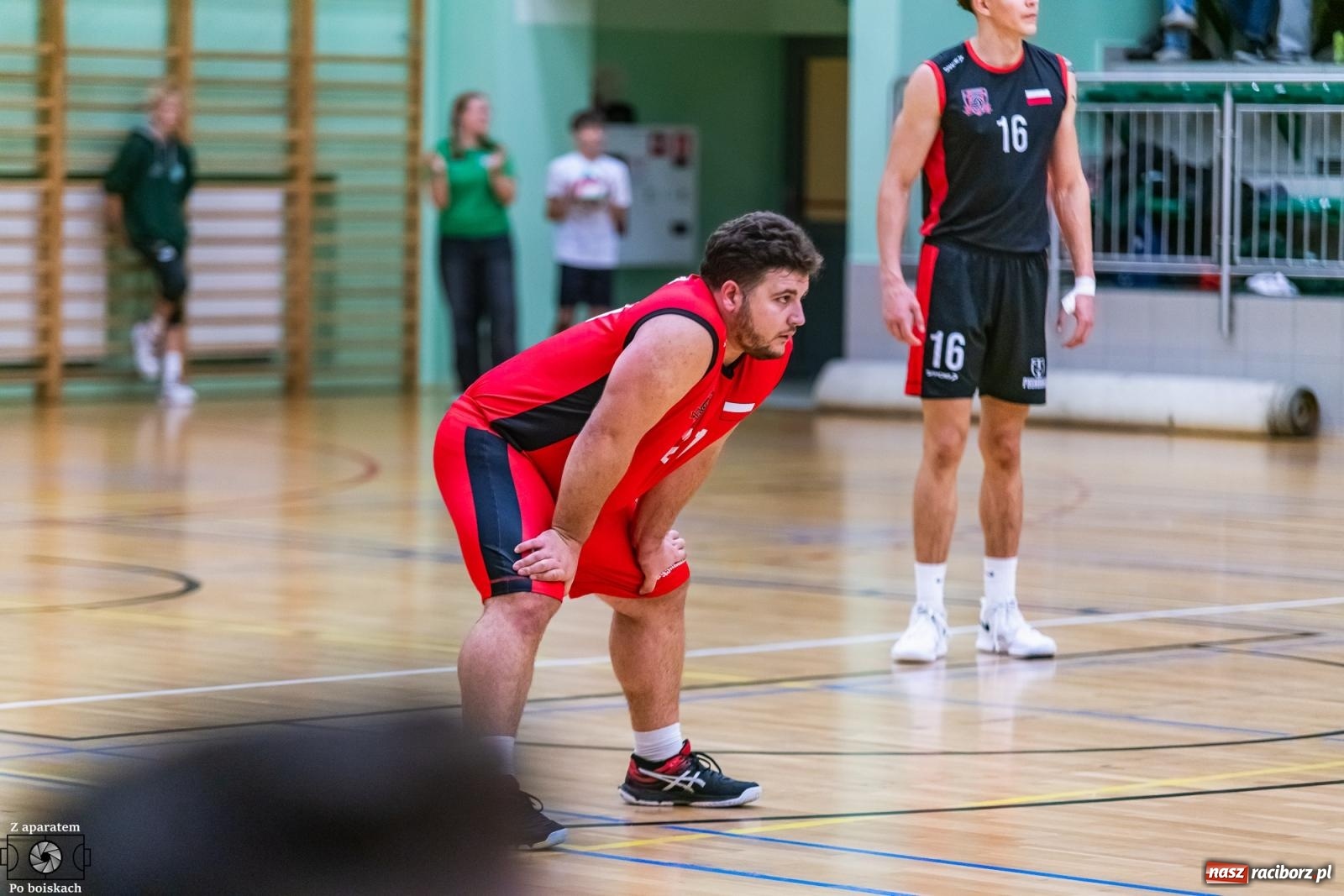 Zdjęcie w galerii na portalu naszraciborz.pl: Siatkówka: Pełna pula na koncie raciborzan [FOTO i WIDEO] wiadomości z regionu