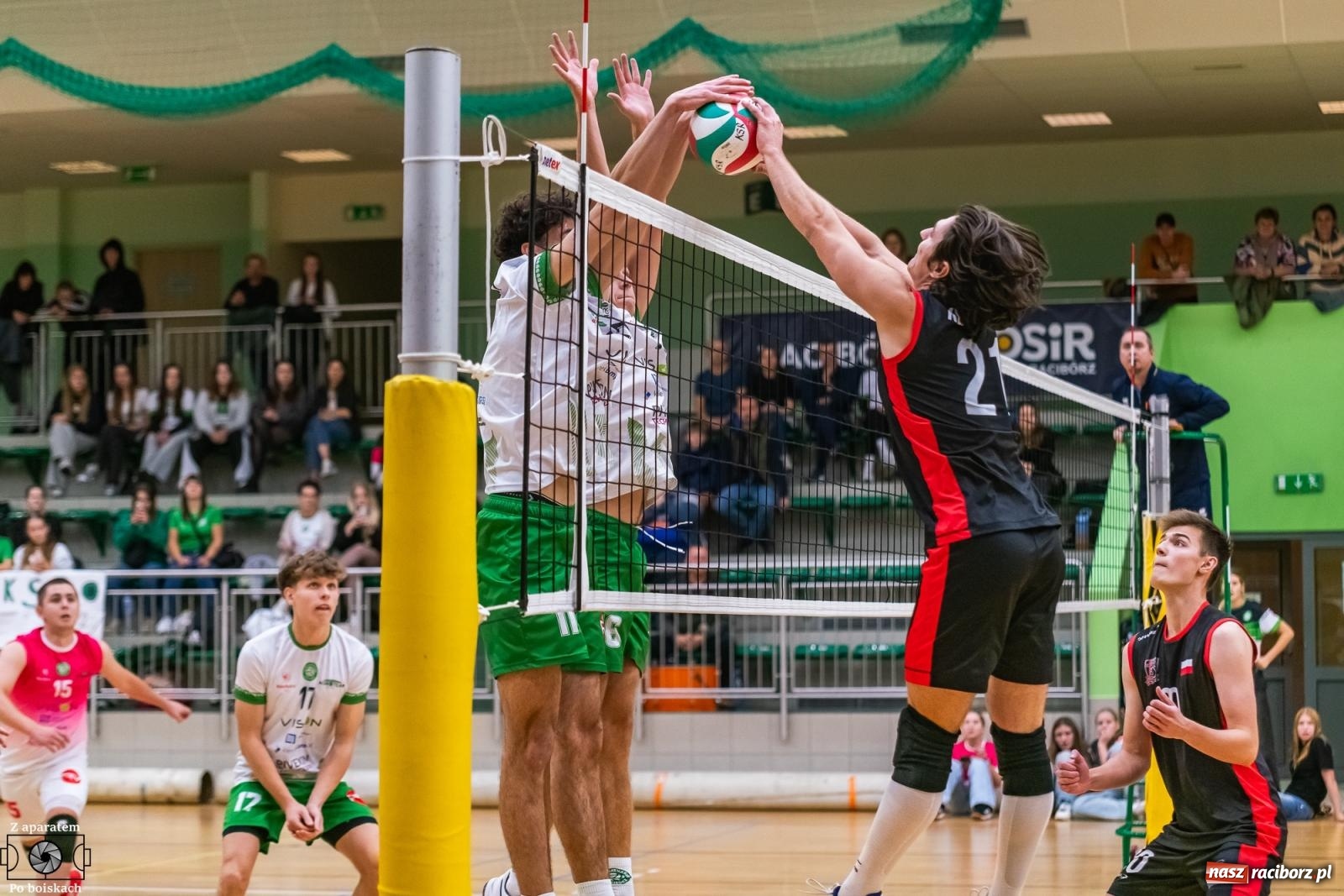 Zdjęcie w galerii na portalu naszraciborz.pl: Siatkówka: Pełna pula na koncie raciborzan [FOTO i WIDEO] wiadomości z regionu