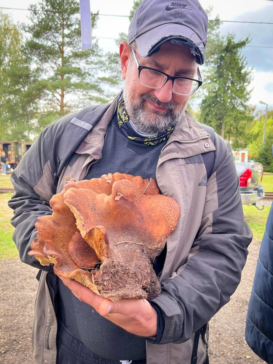 Zdjęcie w galerii na portalu naszraciborz.pl: Ale to było grzybobranie! X zawody w rudzkich lasach wiadomości z regionu