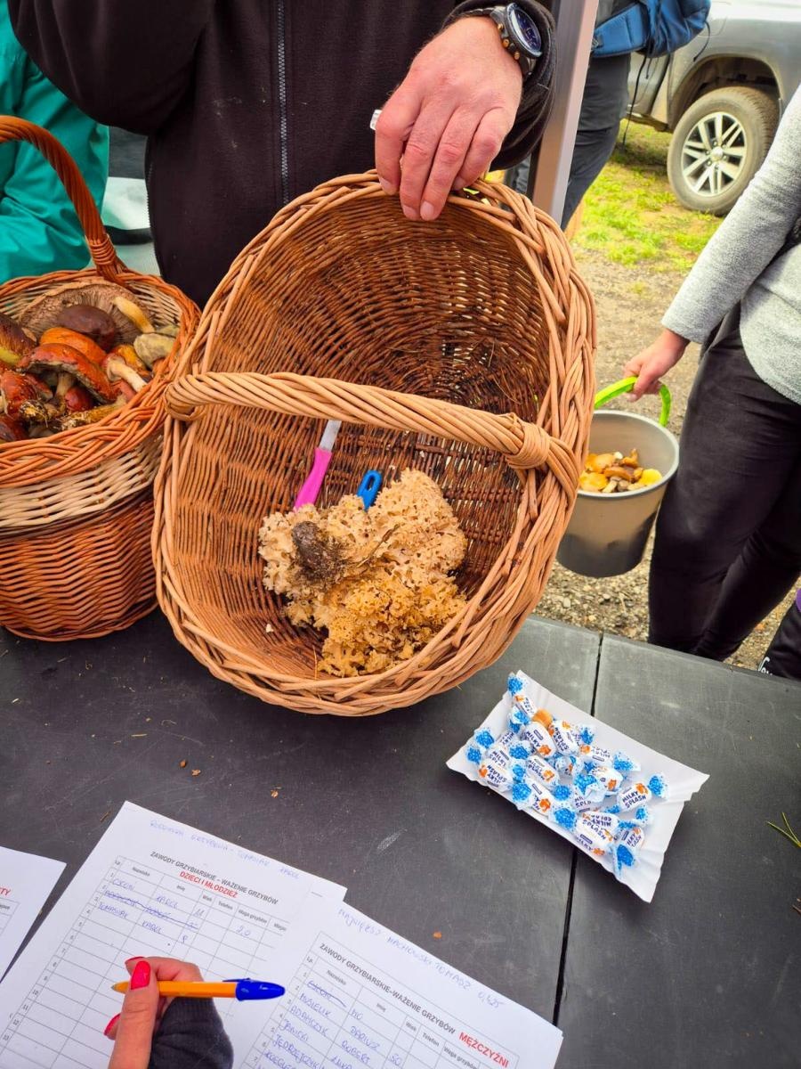 Zdjęcie w galerii na portalu naszraciborz.pl: Ale to było grzybobranie! X zawody w rudzkich lasach wiadomości z regionu