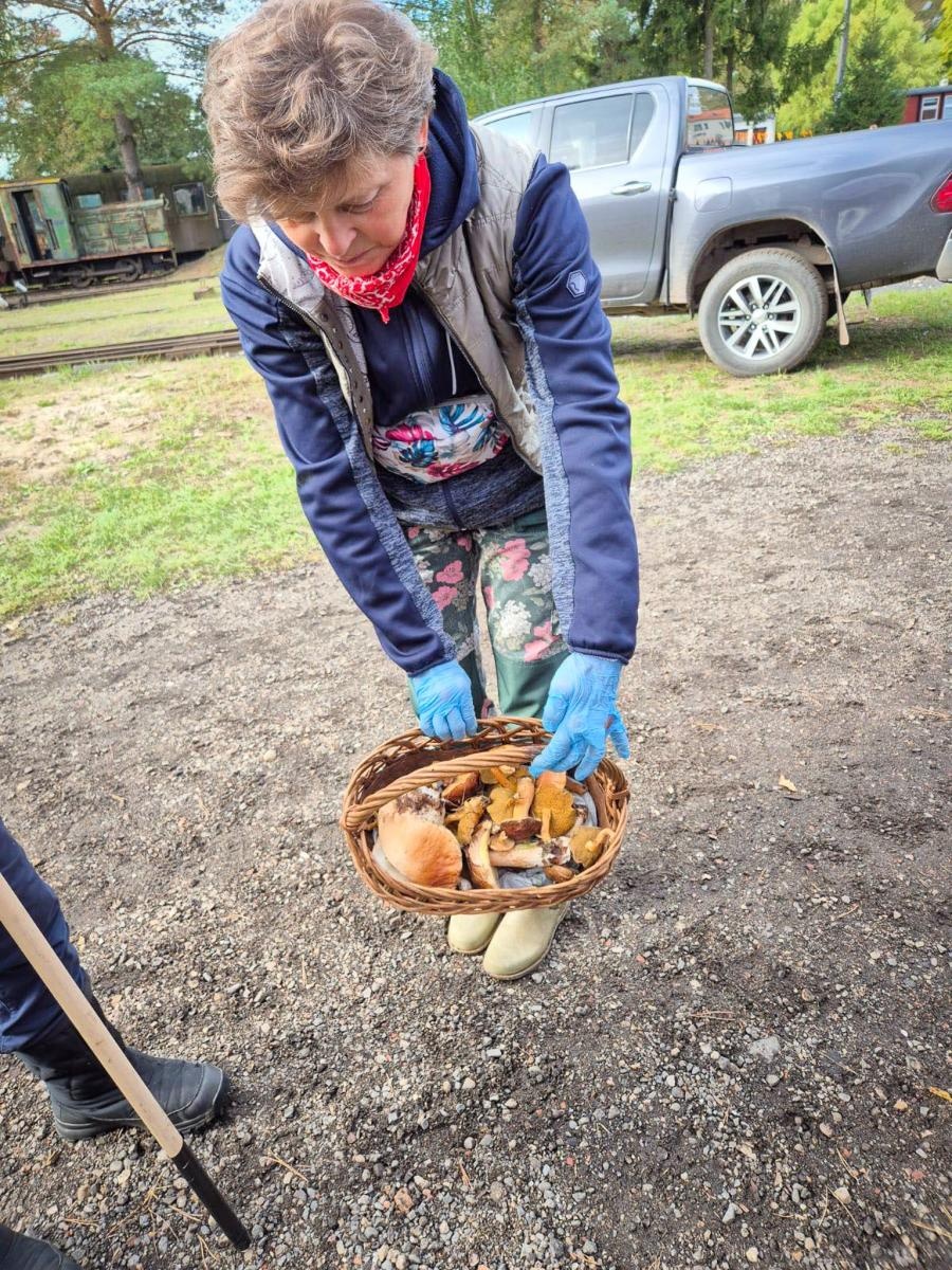 Zdjęcie w galerii na portalu naszraciborz.pl: Ale to było grzybobranie! X zawody w rudzkich lasach wiadomości z regionu