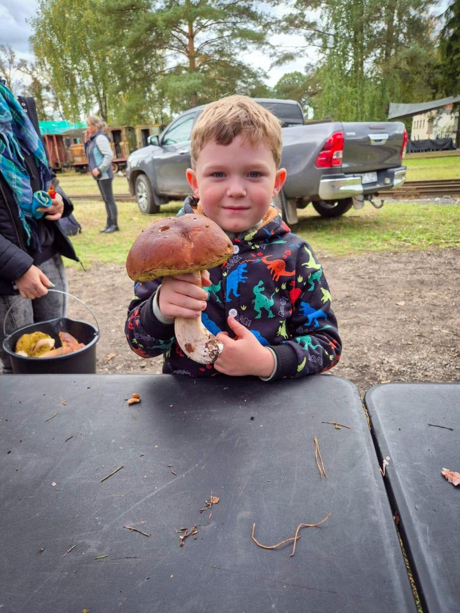 Zdjęcie w galerii na portalu naszraciborz.pl: Ale to było grzybobranie! X zawody w rudzkich lasach wiadomości z regionu