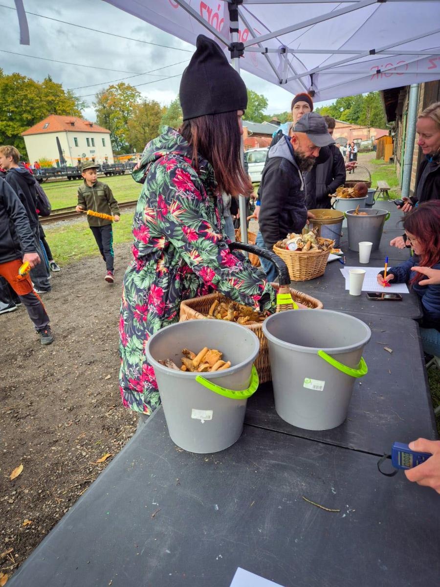 Zdjęcie w galerii na portalu naszraciborz.pl: Ale to było grzybobranie! X zawody w rudzkich lasach wiadomości z regionu