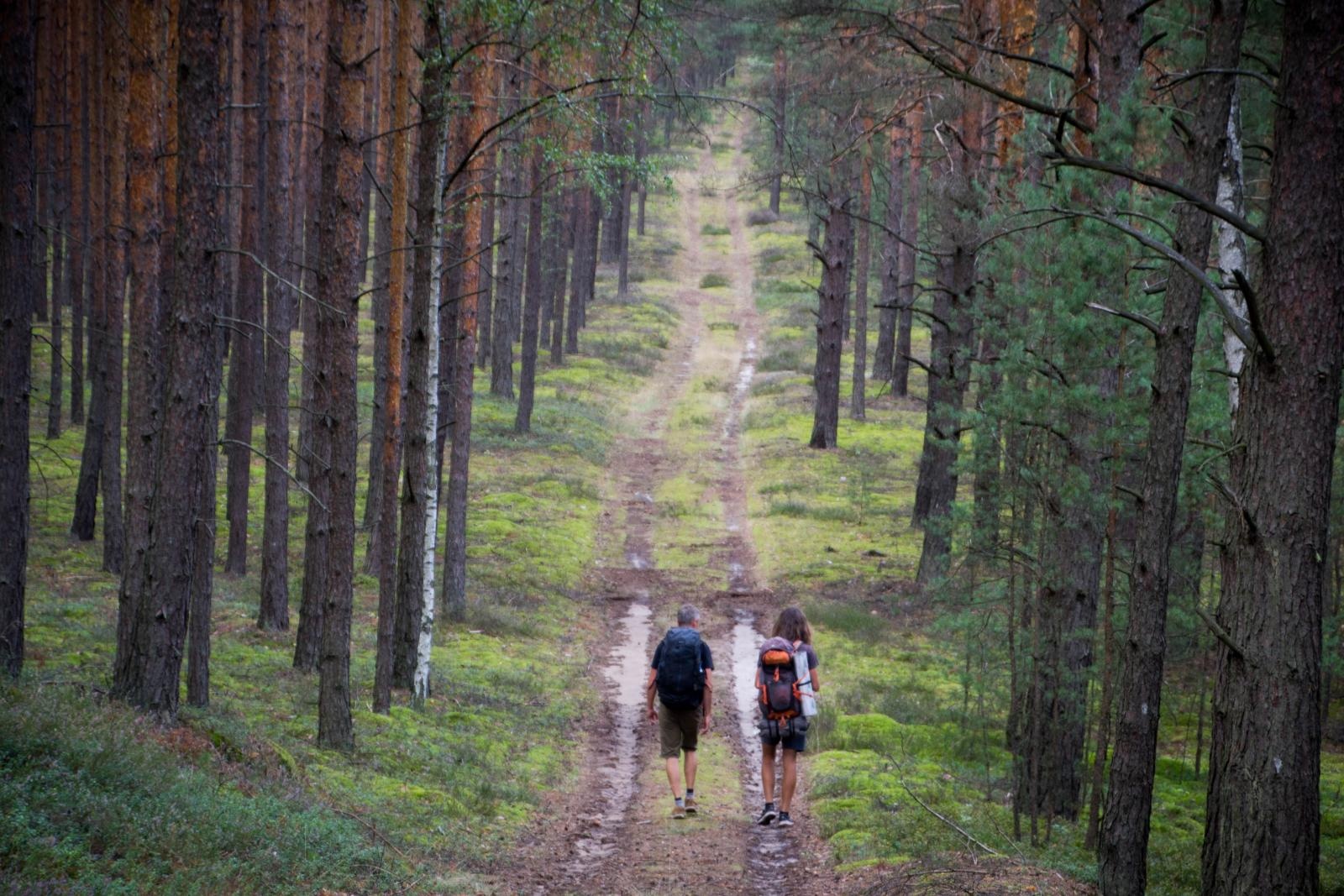 Zdjęcie w galerii na portalu naszraciborz.pl: Pieszo wzdłuż granic kraju - biblioteka zaprasza na spotkanie w ramach NOCY BIBLIOTEK wiadomości z regionu