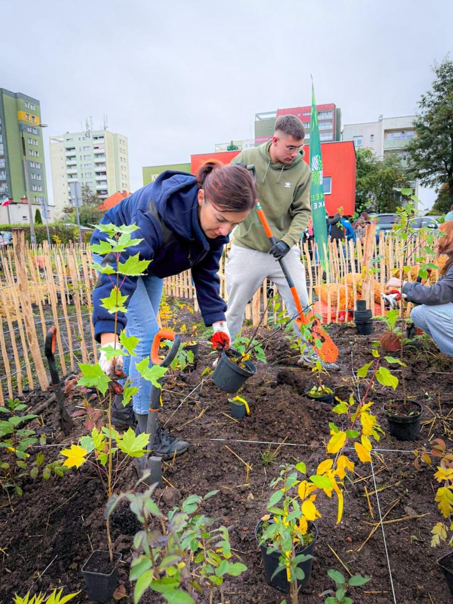 Zdjęcie w galerii na portalu naszraciborz.pl: Racibórz ma swój pierwszy Mikrolas Miyawaki wiadomości z regionu