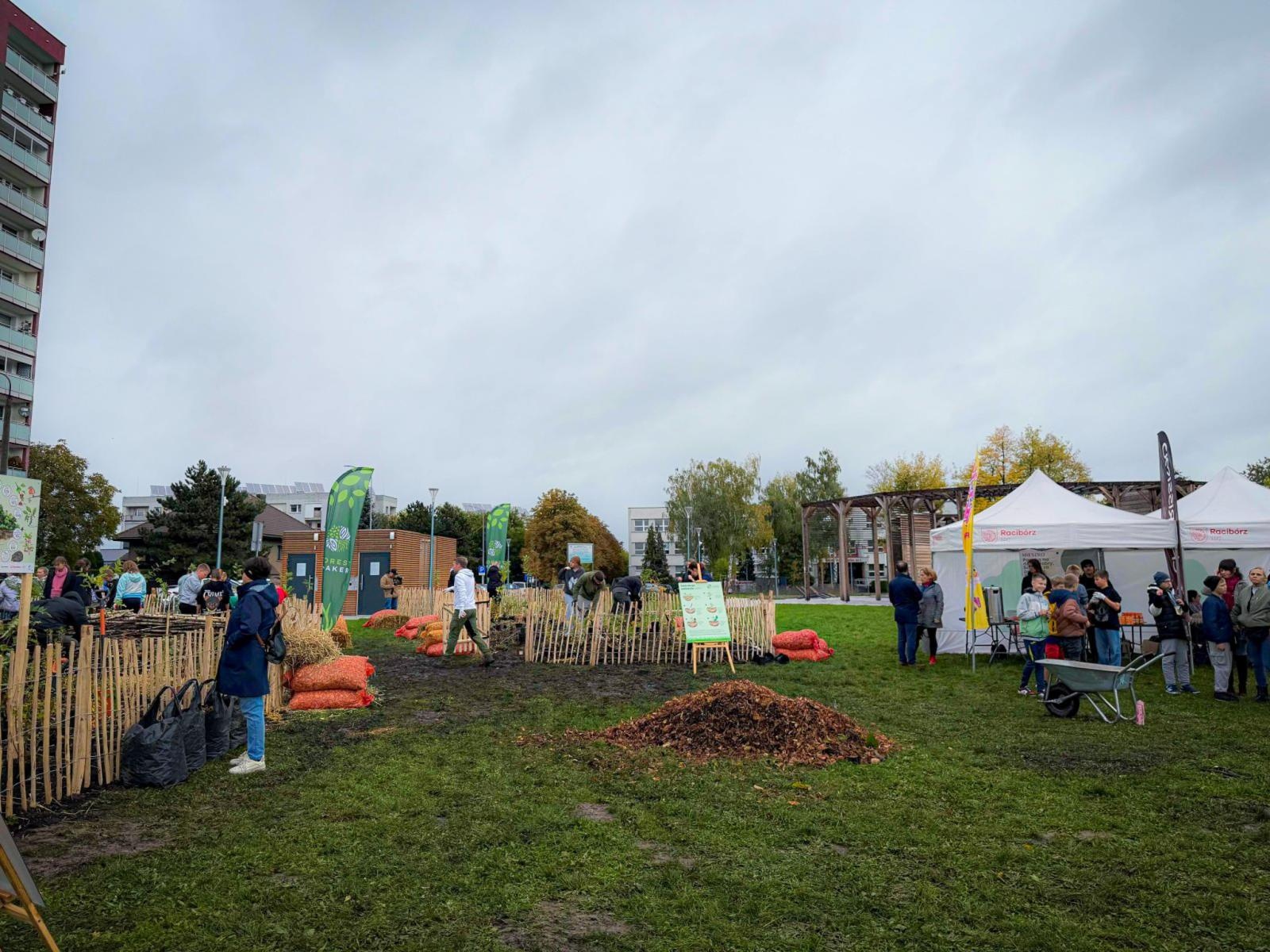 Zdjęcie w galerii na portalu naszraciborz.pl: Racibórz ma swój pierwszy Mikrolas Miyawaki wiadomości z regionu