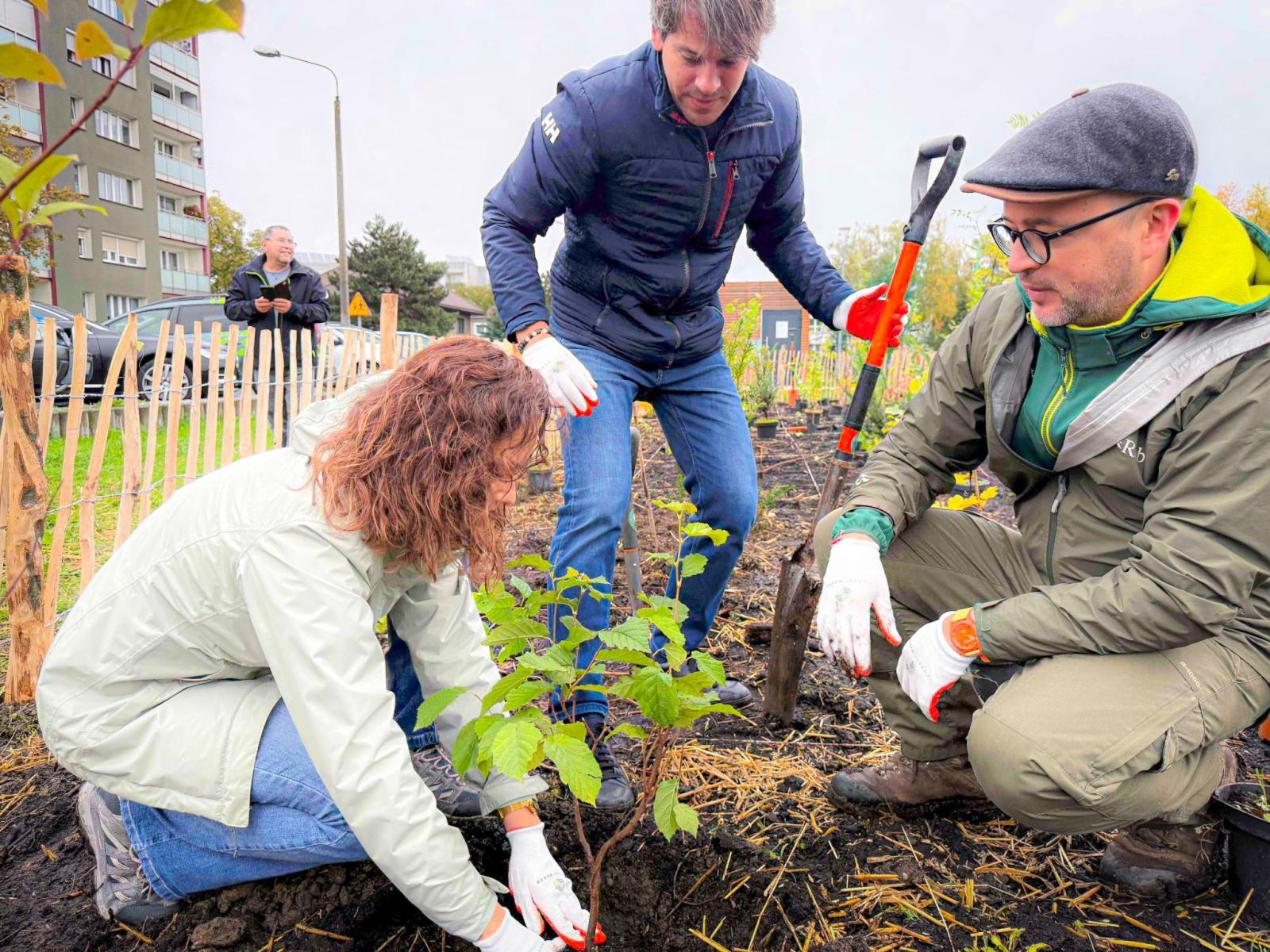 Zdjęcie w galerii na portalu naszraciborz.pl: Racibórz ma swój pierwszy Mikrolas Miyawaki wiadomości z regionu