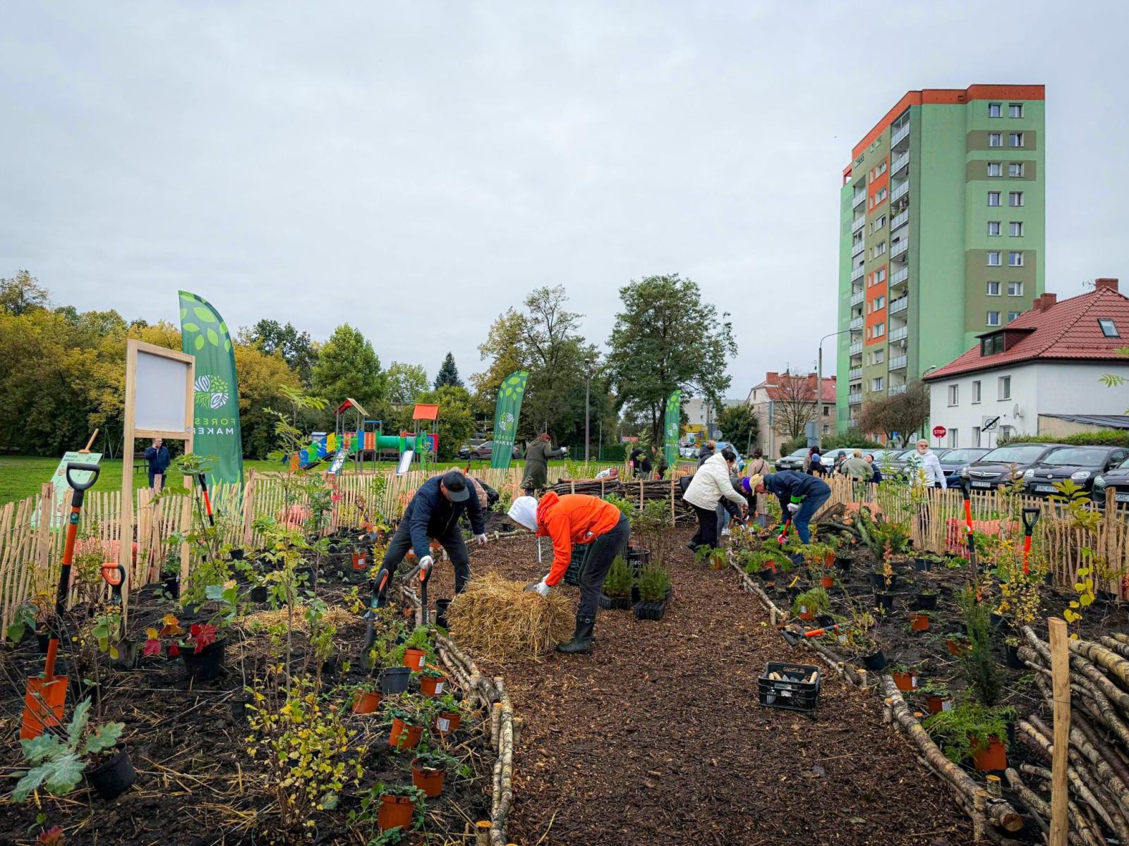 Zdjęcie w galerii na portalu naszraciborz.pl: Racibórz ma swój pierwszy Mikrolas Miyawaki wiadomości z regionu