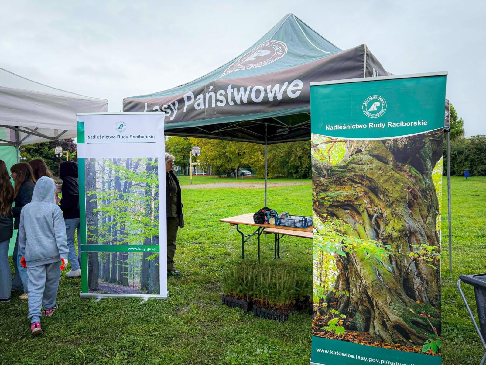 Zdjęcie w galerii na portalu naszraciborz.pl: Racibórz ma swój pierwszy Mikrolas Miyawaki wiadomości z regionu