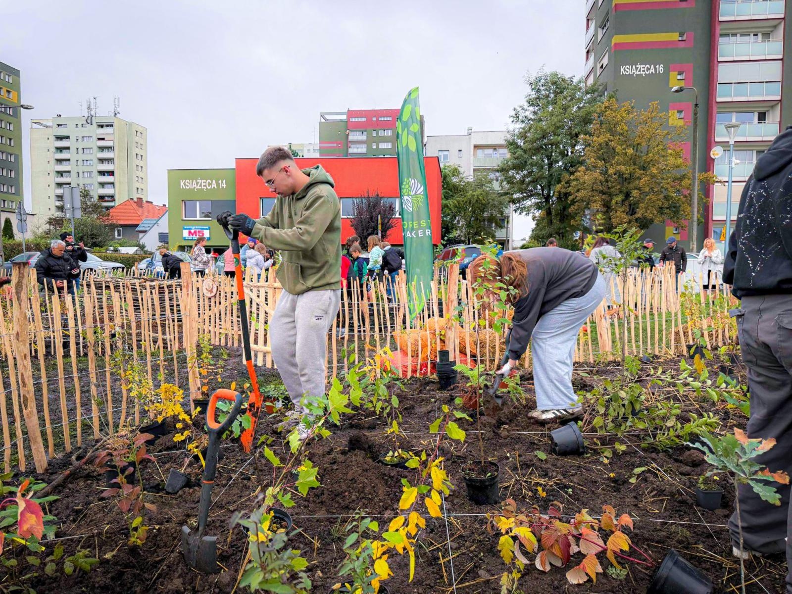 Zdjęcie w galerii na portalu naszraciborz.pl: Racibórz ma swój pierwszy Mikrolas Miyawaki wiadomości z regionu