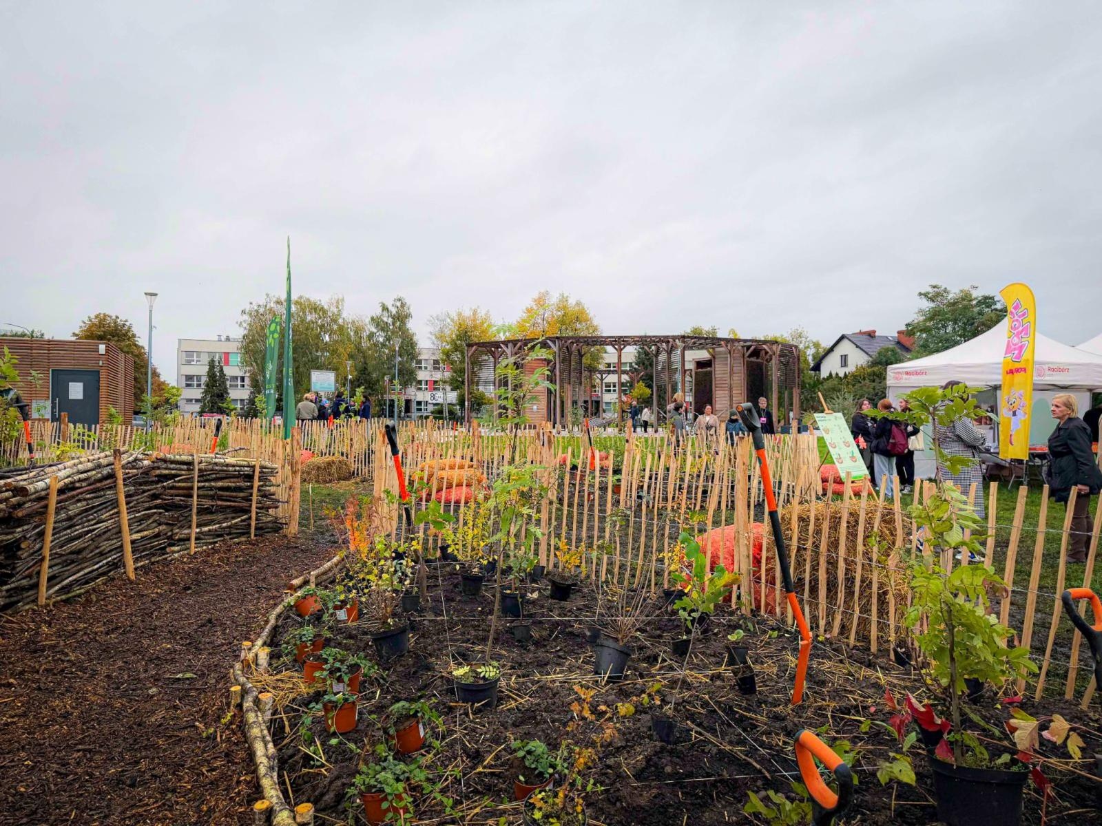 Zdjęcie w galerii na portalu naszraciborz.pl: Racibórz ma swój pierwszy Mikrolas Miyawaki wiadomości z regionu