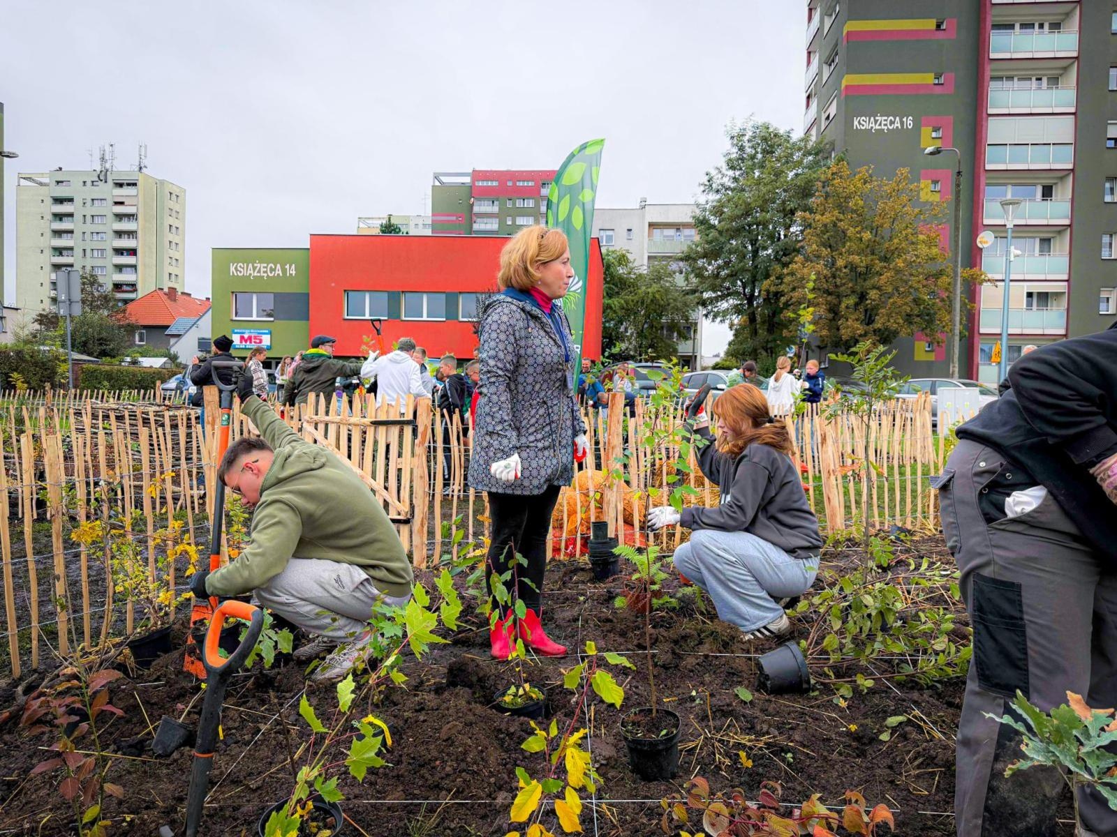 Zdjęcie w galerii na portalu naszraciborz.pl: Racibórz ma swój pierwszy Mikrolas Miyawaki wiadomości z regionu