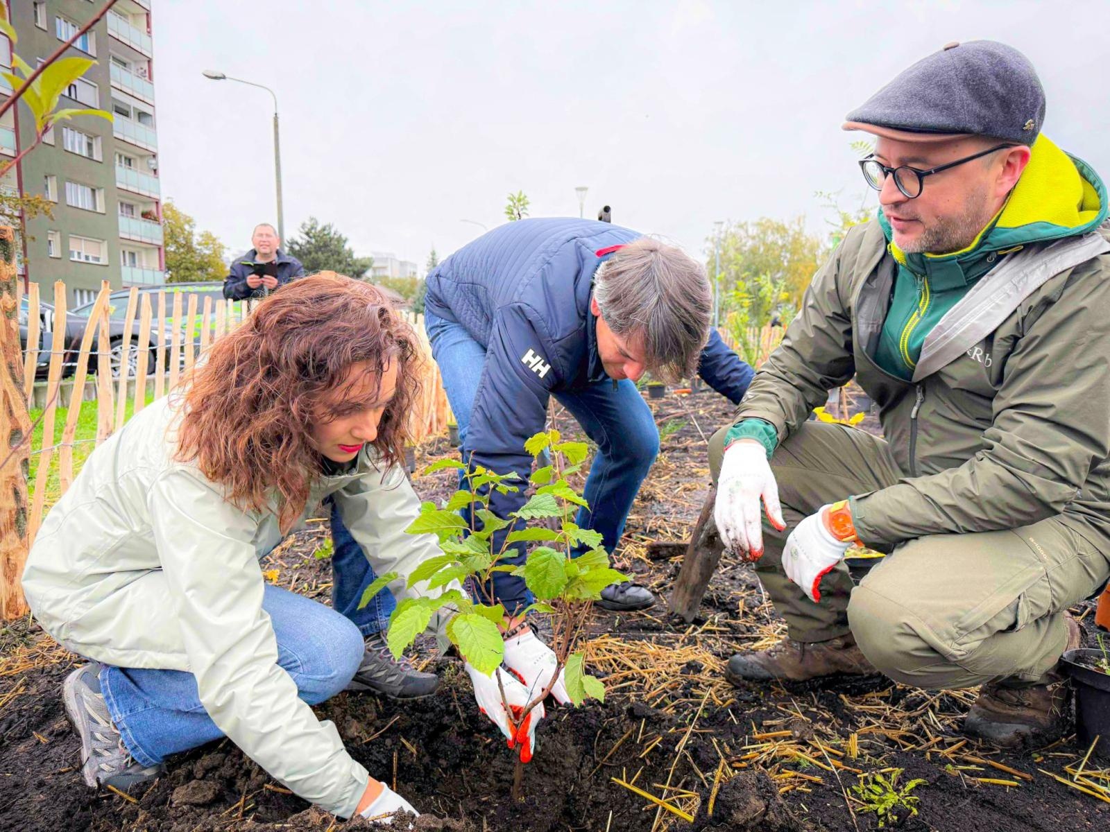 Zdjęcie w galerii na portalu naszraciborz.pl: Racibórz ma swój pierwszy Mikrolas Miyawaki wiadomości z regionu