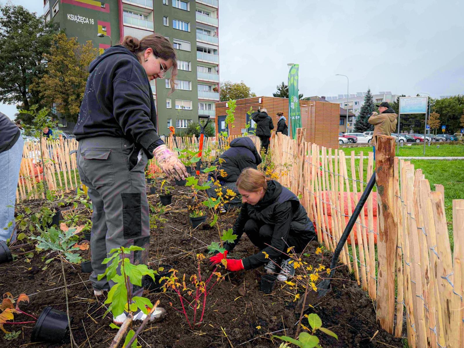 Zdjęcie w galerii na portalu naszraciborz.pl: Racibórz ma swój pierwszy Mikrolas Miyawaki wiadomości z regionu