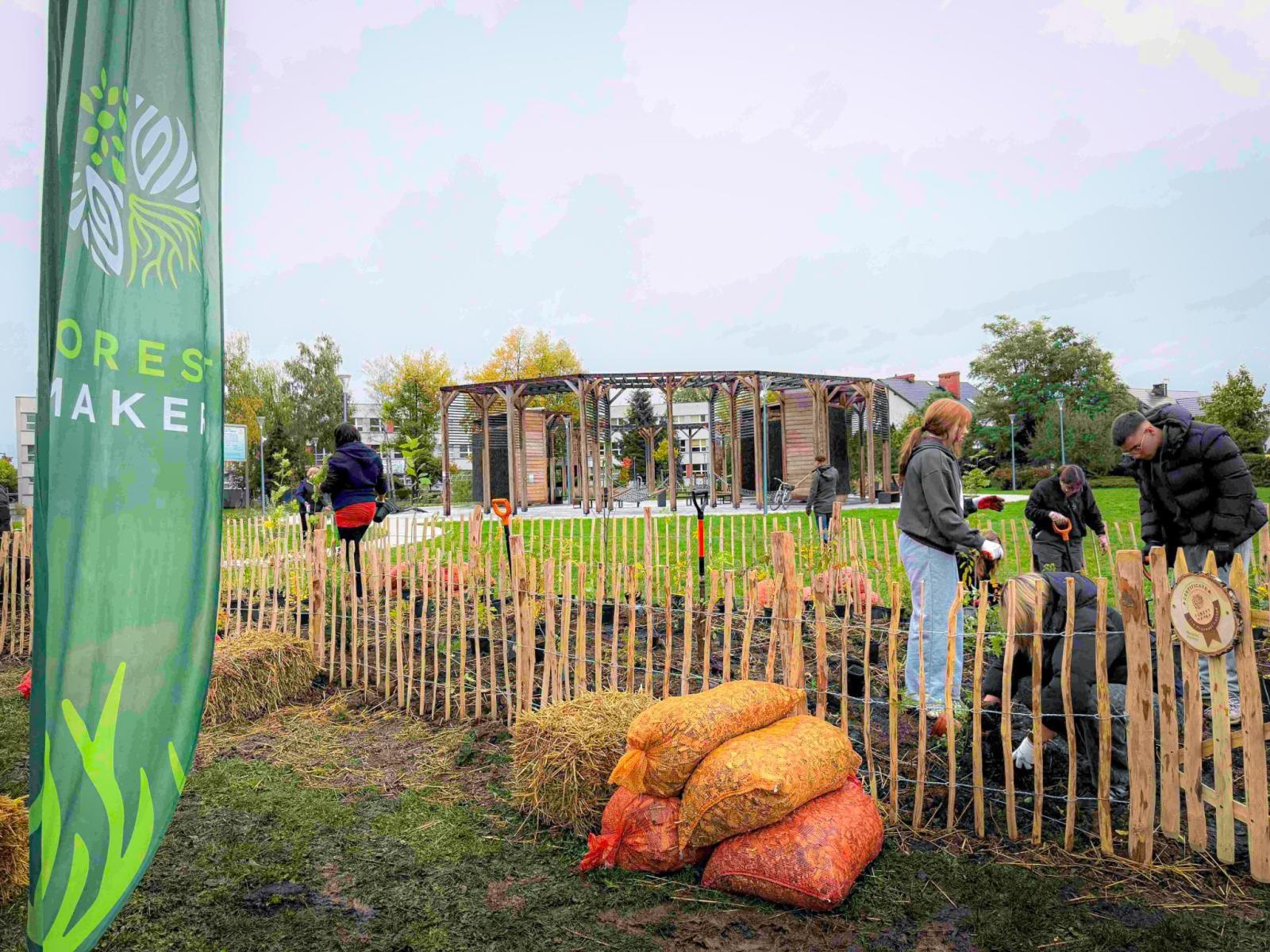Zdjęcie w galerii na portalu naszraciborz.pl: Racibórz ma swój pierwszy Mikrolas Miyawaki wiadomości z regionu