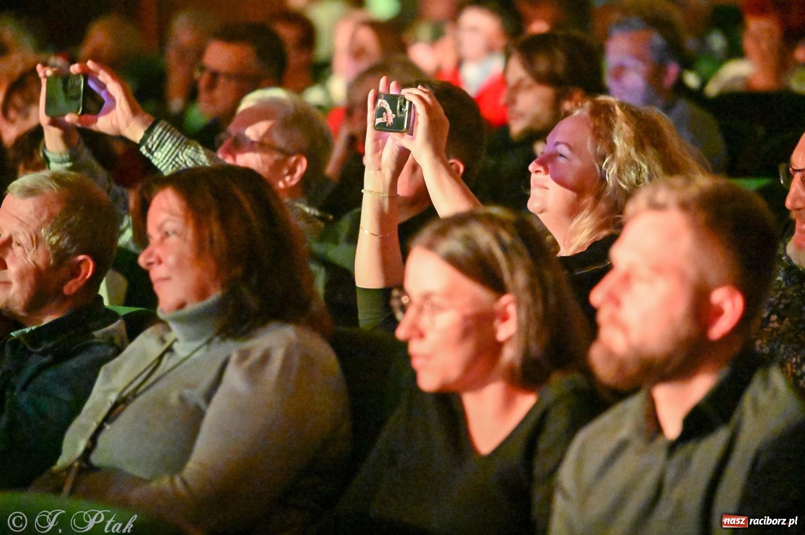 Zdjęcie w galerii na portalu naszraciborz.pl: Tomasz Madzia Guitar Experience porwał publiczność w RCK [FOTO i WIDEO] wiadomości z regionu