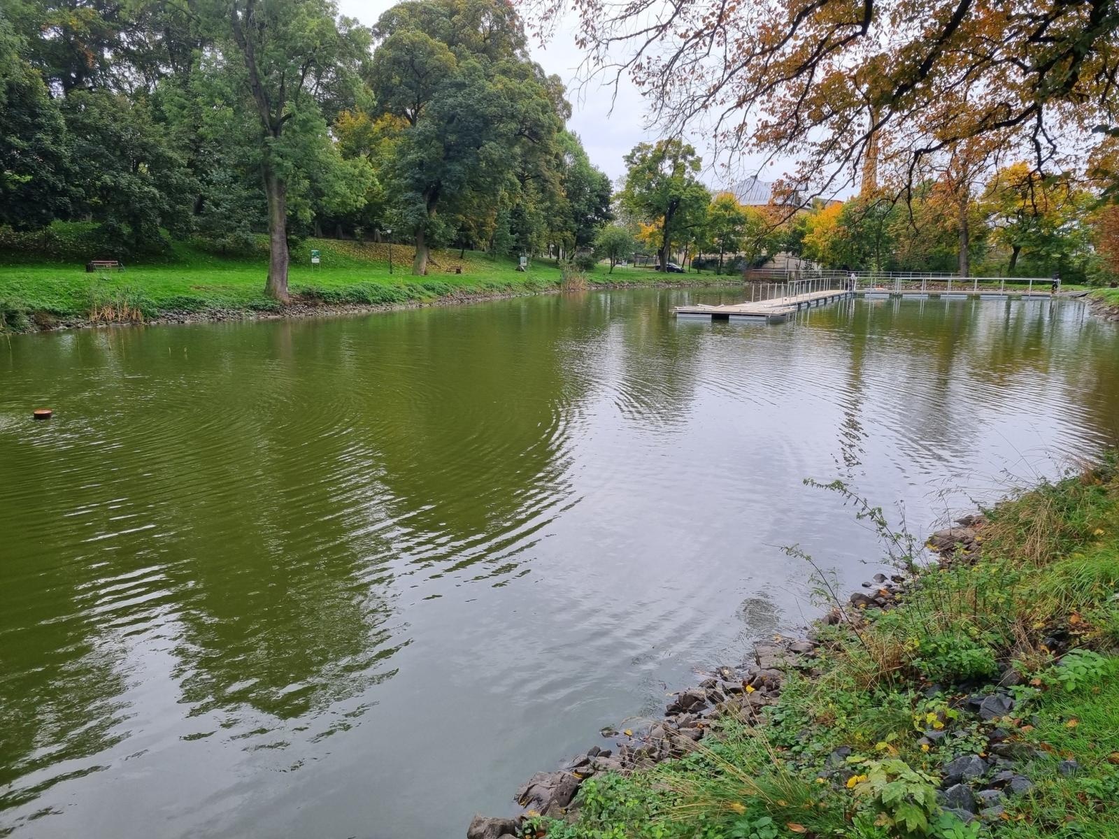 Zdjęcie w galerii na portalu naszraciborz.pl: Krowiarki jak Sopot. Teleexpress o sobotnim wydarzeniu w gminie Pietrowice Wielkie wiadomości z regionu