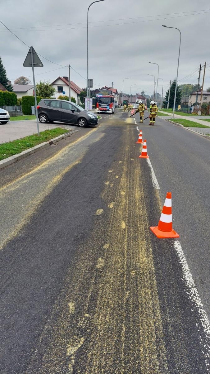 Zdjęcie w galerii na portalu naszraciborz.pl: Interwencje straży pożarnej w powiecie raciborskim – od gniazda os po tragiczne odkrycie w Rudach wiadomości z regionu