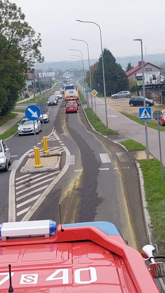 Zdjęcie w galerii na portalu naszraciborz.pl: Interwencje straży pożarnej w powiecie raciborskim – od gniazda os po tragiczne odkrycie w Rudach wiadomości z regionu