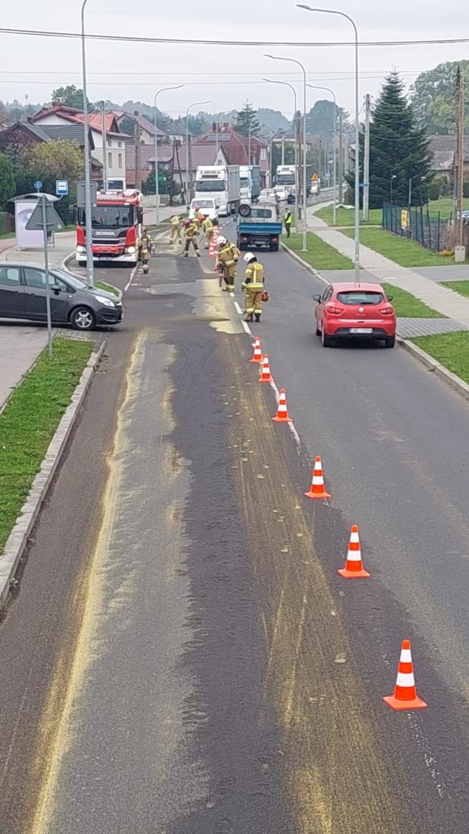 Zdjęcie w galerii na portalu naszraciborz.pl: Interwencje straży pożarnej w powiecie raciborskim – od gniazda os po tragiczne odkrycie w Rudach wiadomości z regionu