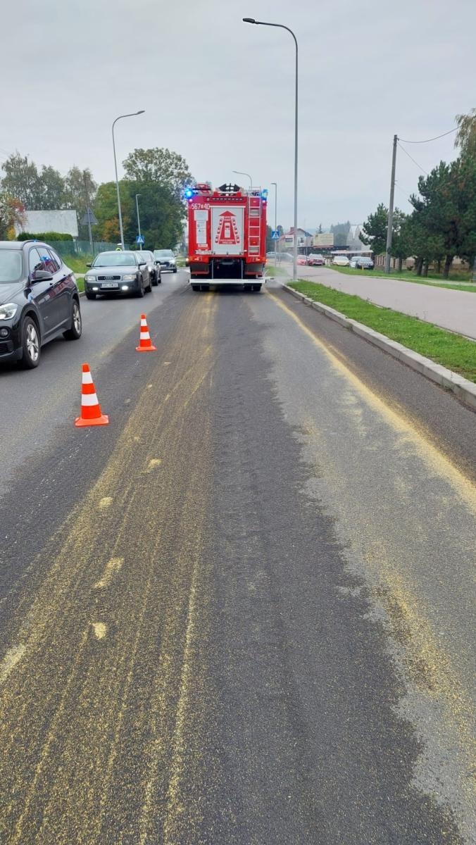 Zdjęcie w galerii na portalu naszraciborz.pl: Interwencje straży pożarnej w powiecie raciborskim – od gniazda os po tragiczne odkrycie w Rudach wiadomości z regionu