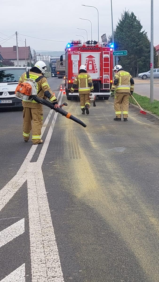 Zdjęcie w galerii na portalu naszraciborz.pl: Interwencje straży pożarnej w powiecie raciborskim – od gniazda os po tragiczne odkrycie w Rudach wiadomości z regionu