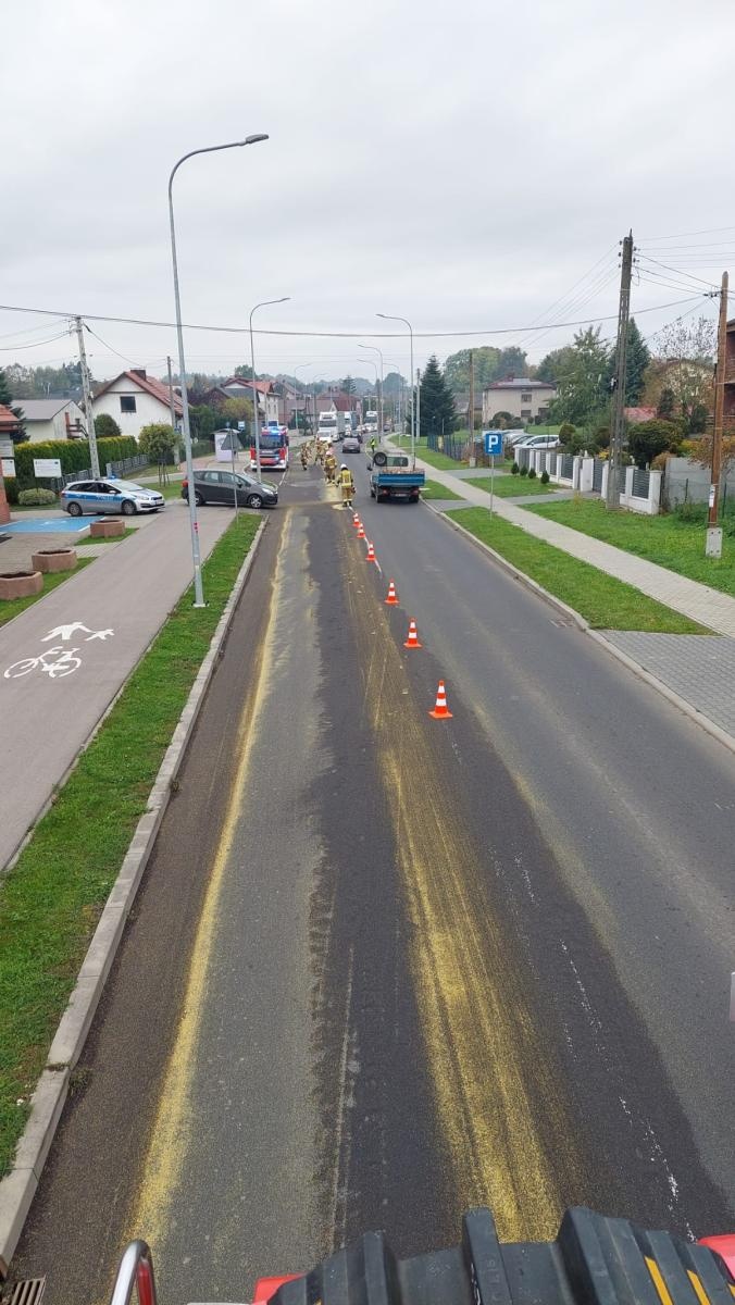Zdjęcie w galerii na portalu naszraciborz.pl: Interwencje straży pożarnej w powiecie raciborskim – od gniazda os po tragiczne odkrycie w Rudach wiadomości z regionu