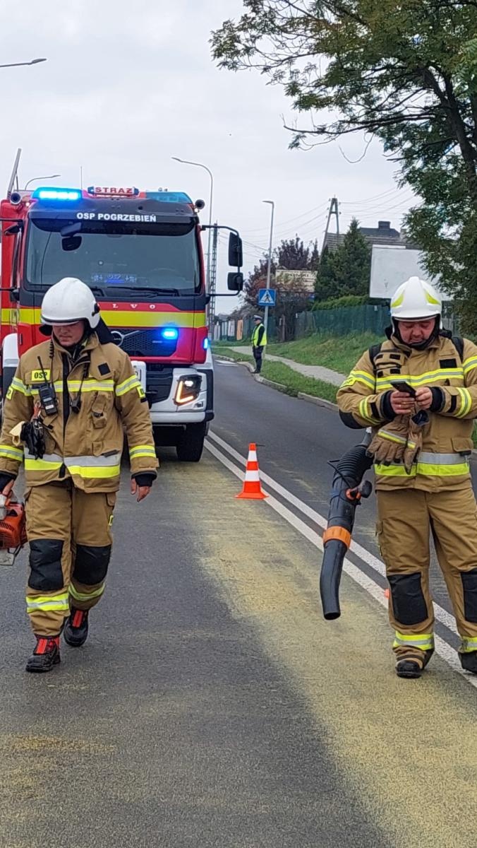 Zdjęcie w galerii na portalu naszraciborz.pl: Interwencje straży pożarnej w powiecie raciborskim – od gniazda os po tragiczne odkrycie w Rudach wiadomości z regionu