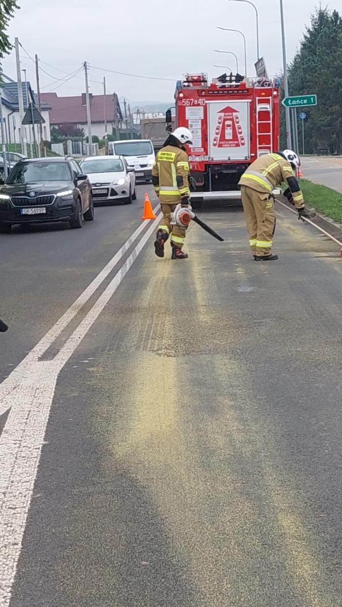 Zdjęcie w galerii na portalu naszraciborz.pl: Interwencje straży pożarnej w powiecie raciborskim – od gniazda os po tragiczne odkrycie w Rudach wiadomości z regionu