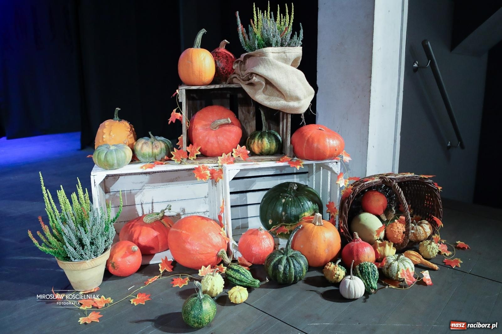 Zdjęcie w galerii na portalu naszraciborz.pl: I Powiatowy Festiwal Piosenki Przedszkolnej Jesienne Nutki w Raciborzu [FOTO i WIDEO] wiadomości z regionu