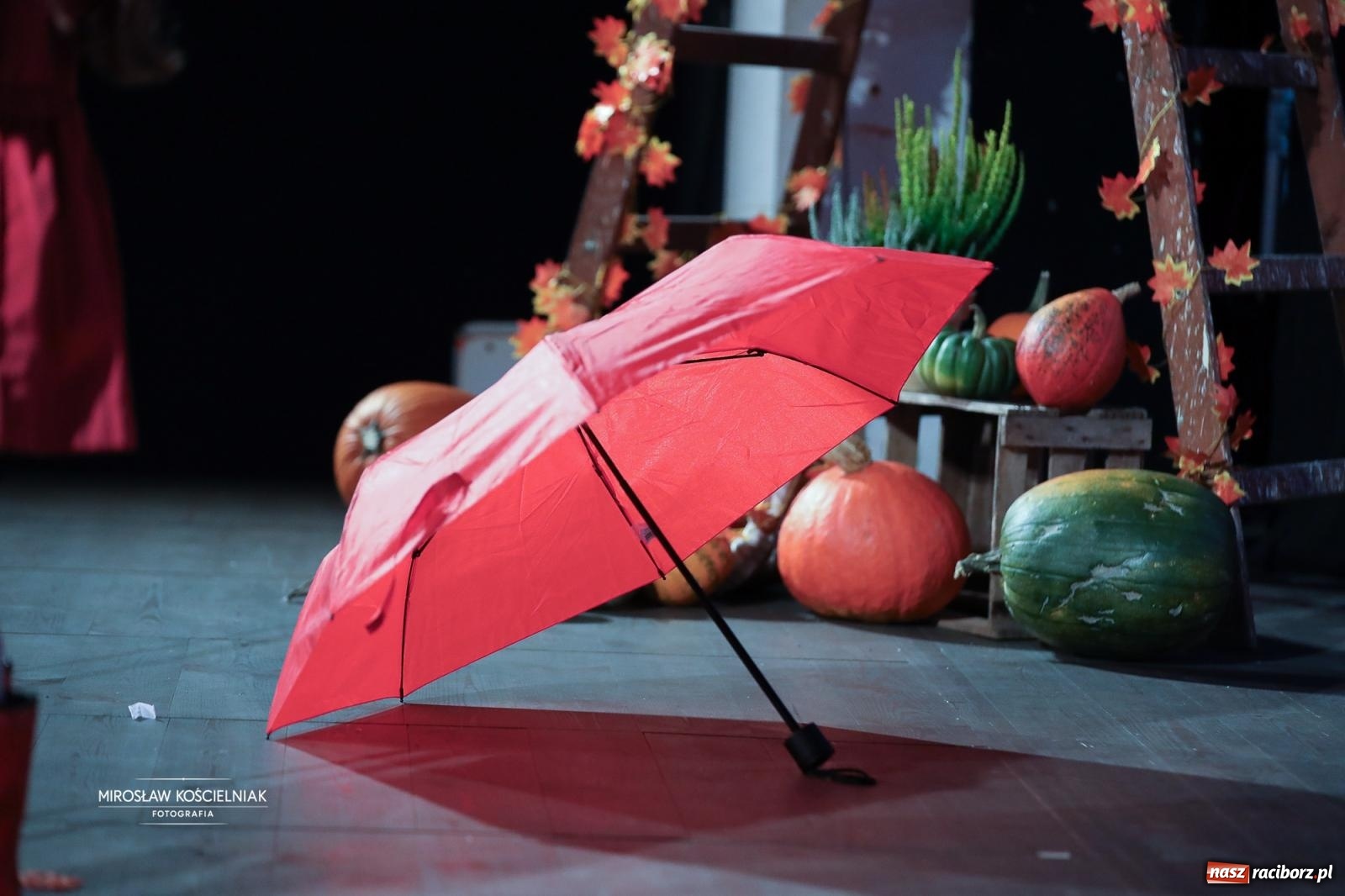 Zdjęcie w galerii na portalu naszraciborz.pl: I Powiatowy Festiwal Piosenki Przedszkolnej Jesienne Nutki w Raciborzu [FOTO i WIDEO] wiadomości z regionu