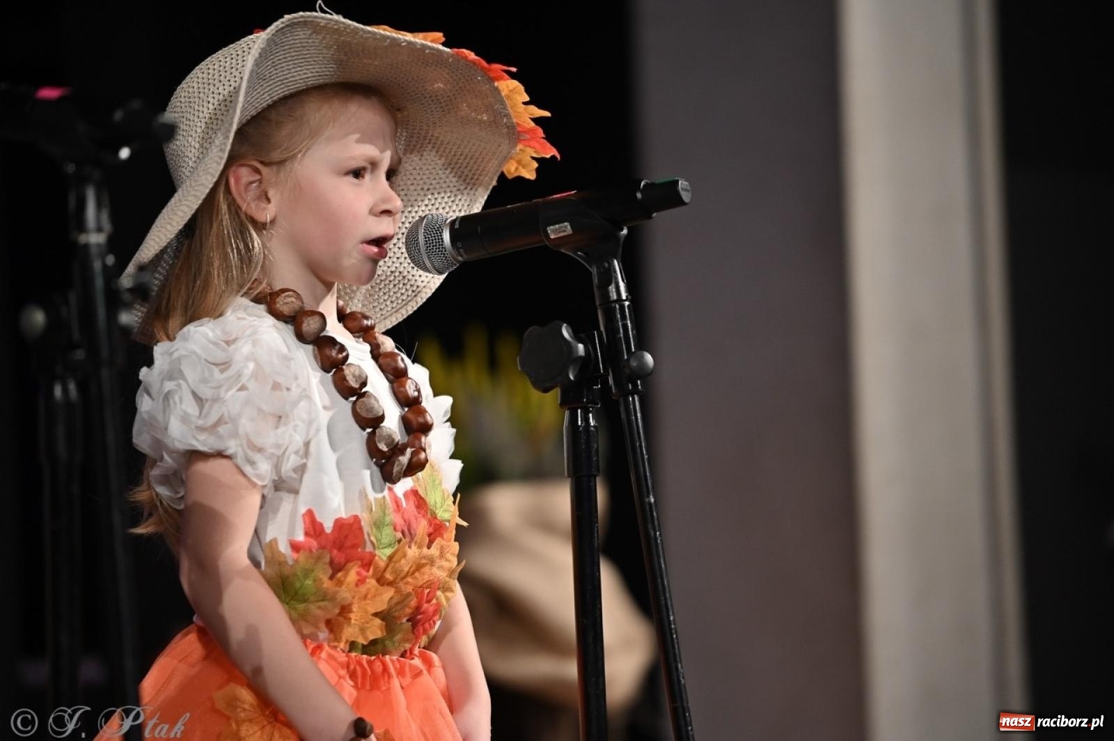 Zdjęcie w galerii na portalu naszraciborz.pl: I Powiatowy Festiwal Piosenki Przedszkolnej Jesienne Nutki w Raciborzu [FOTO i WIDEO] wiadomości z regionu