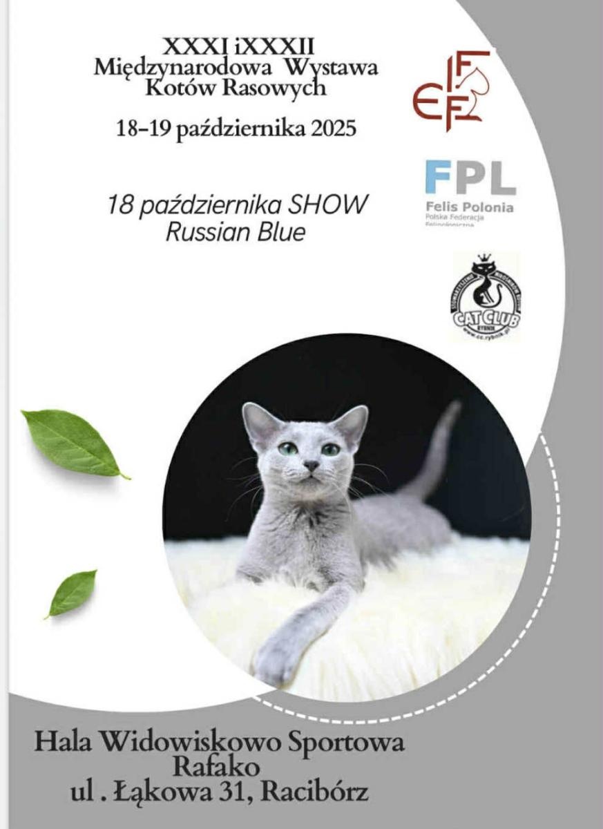 Zdjęcie w galerii na portalu naszraciborz.pl: Co? Gdzie? Kiedy? Nawigator weekendowy wiadomości z regionu