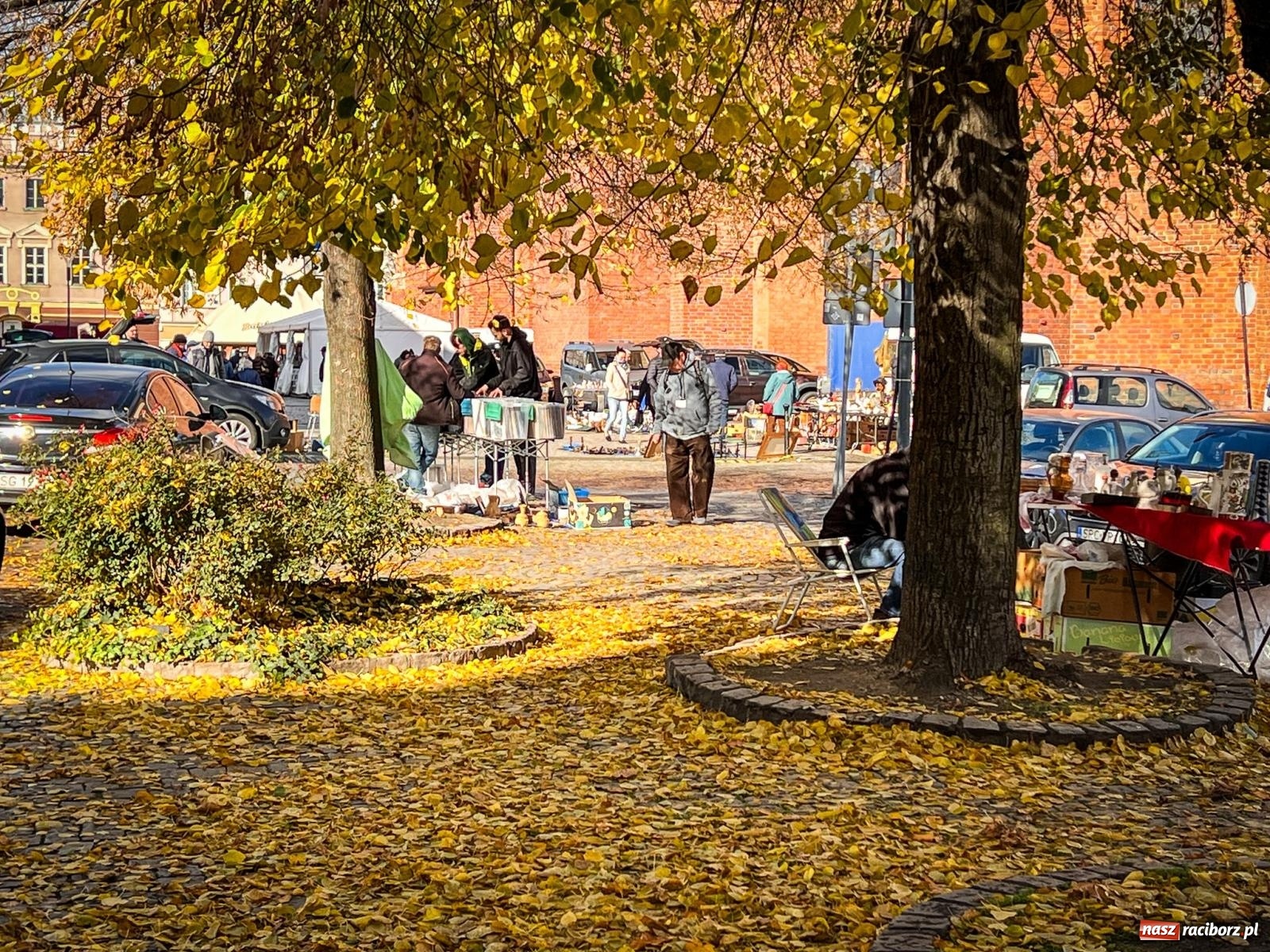 Zdjęcie w galerii na portalu naszraciborz.pl: Raciborski targ staroci z nowymi zasadami. Sprzedający zaskoczeni wiadomości z regionu