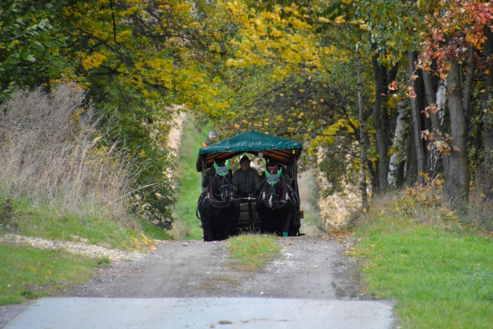 Zdjęcie w galerii na portalu naszraciborz.pl: Hubertus w Kornowacu – jeźdźcy, tradycja i dobra zabawa [FOTO i WIDEO] wiadomości z regionu