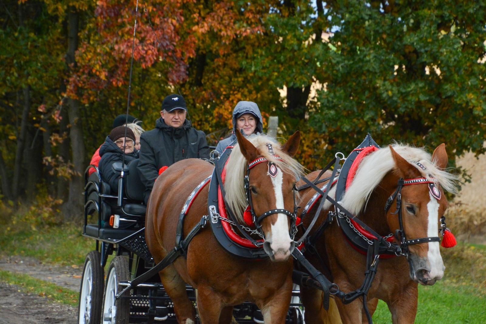 Zdjęcie w galerii na portalu naszraciborz.pl: Hubertus w Kornowacu – jeźdźcy, tradycja i dobra zabawa [FOTO i WIDEO] wiadomości z regionu